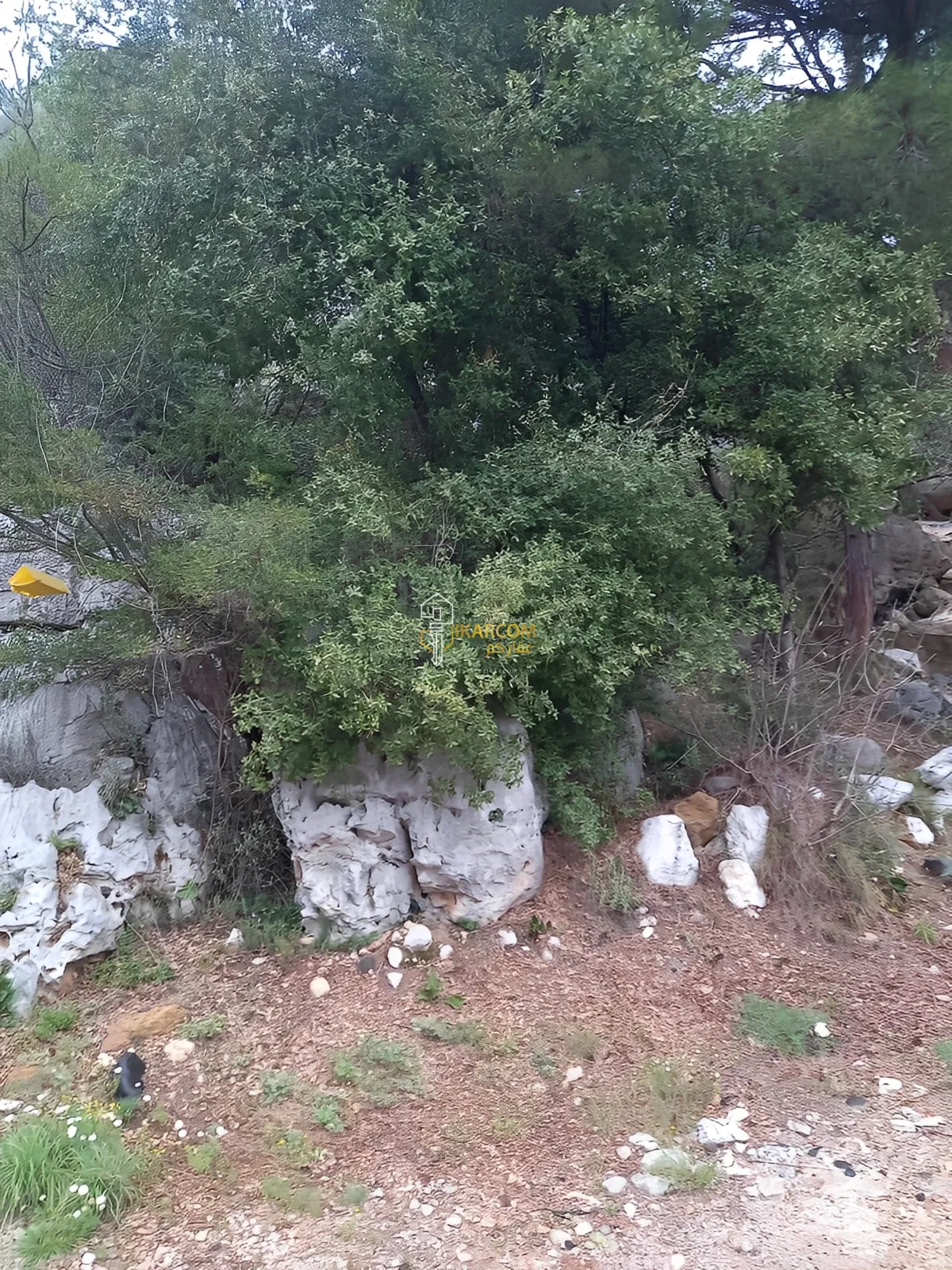 Land for Sale in Baabdet
