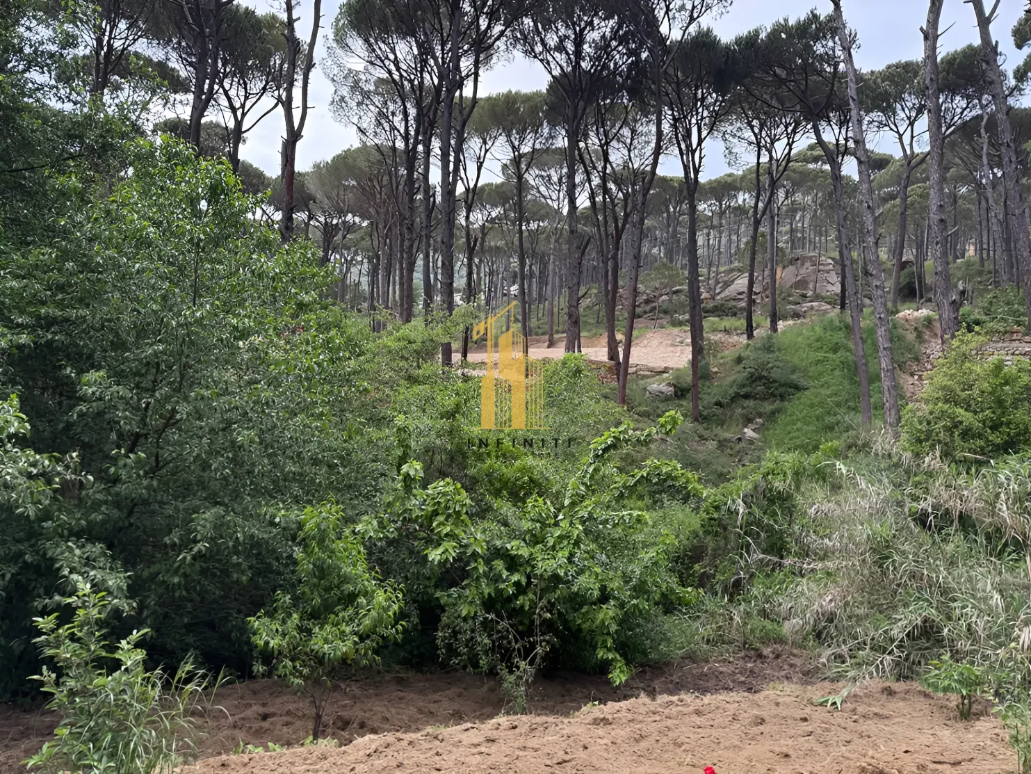 Residential Land for sale in Ighmid, Lebanon