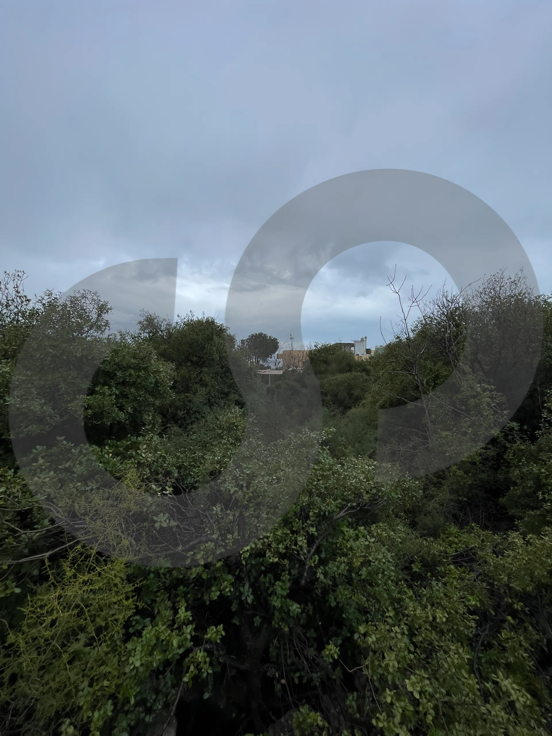 Land for Sale in Byblos