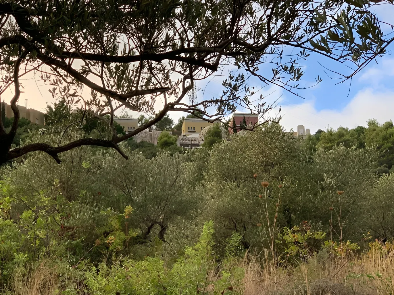 Land for sale in Haret El Sett