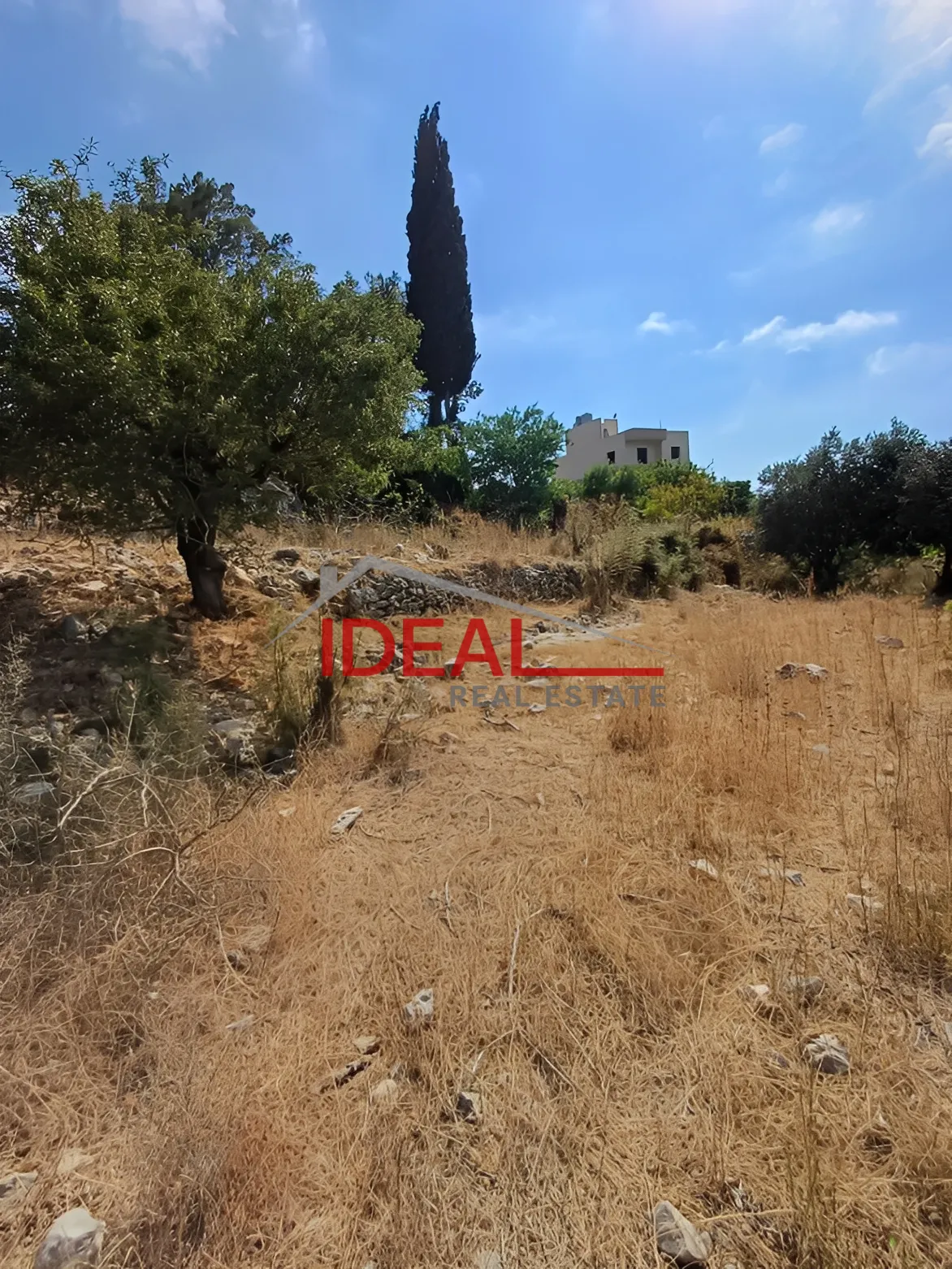 Land for Sale in Batroun, Lebanon
