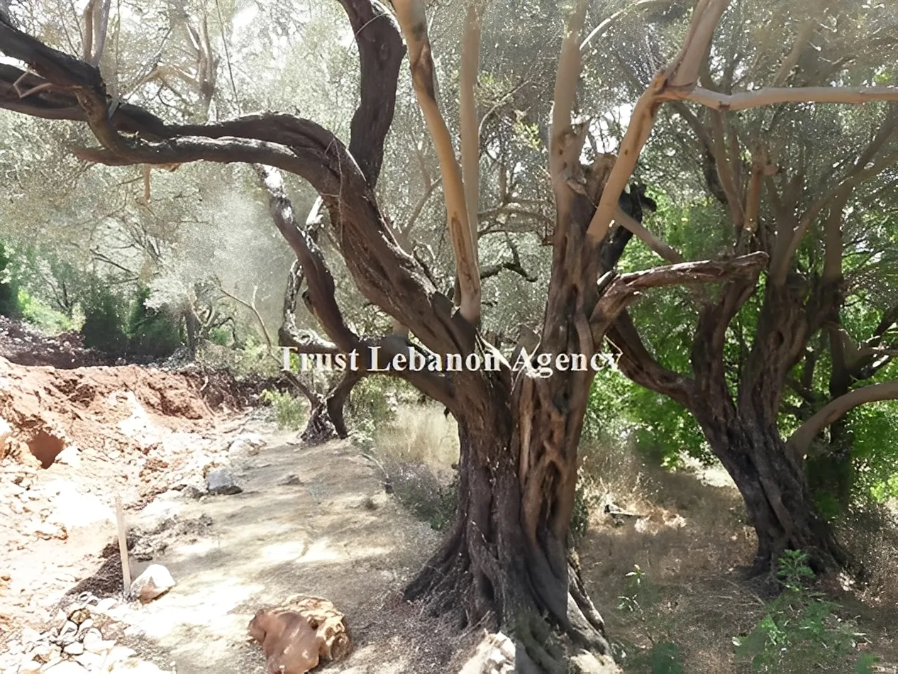 Land for Sale in Metn Roumieh Lebanon
