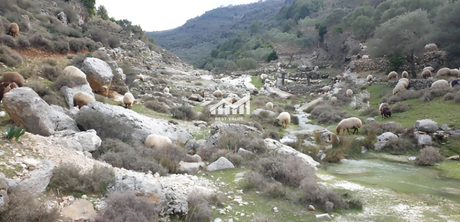 Land for sale in Assia, Lebanon