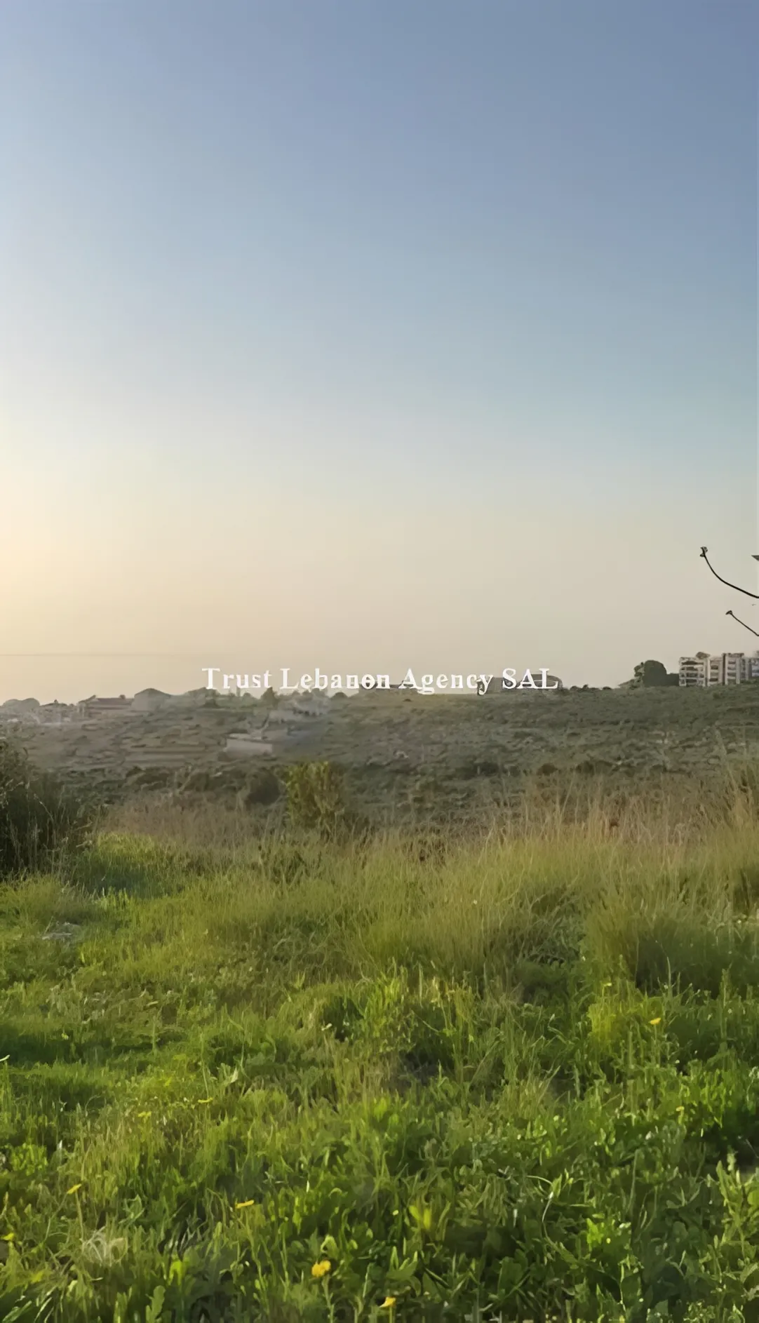 Land for Sale in Chouf Jiyeh