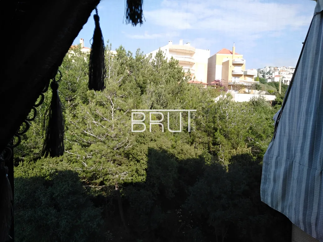 Apartment for Rent in Ballouneh