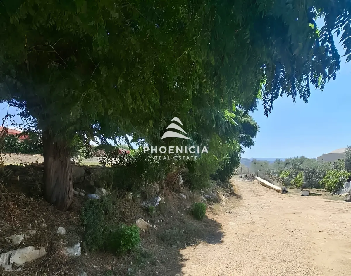 Residential Land for sale in Edde