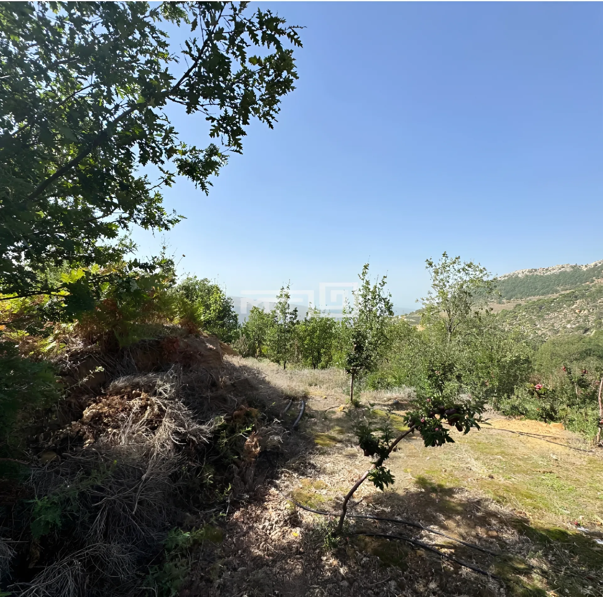 Residential Land for sale in Baskinta