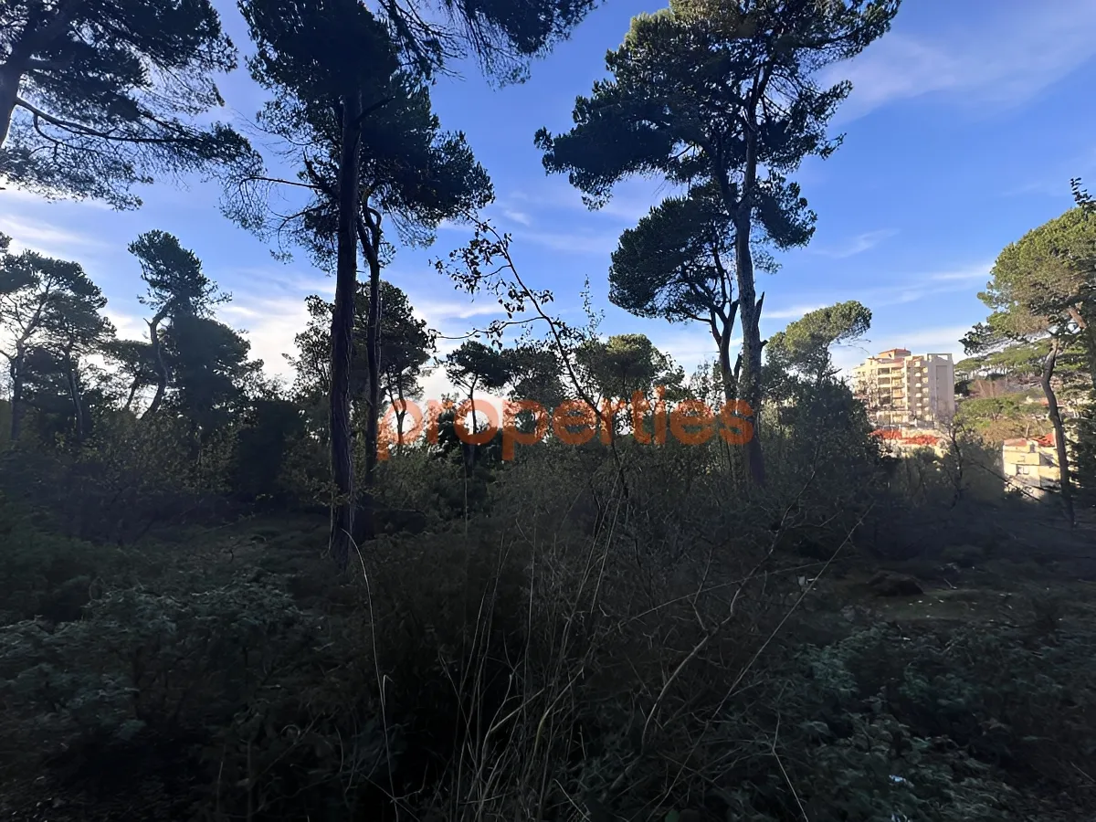 Land for Sale in Bharsaf