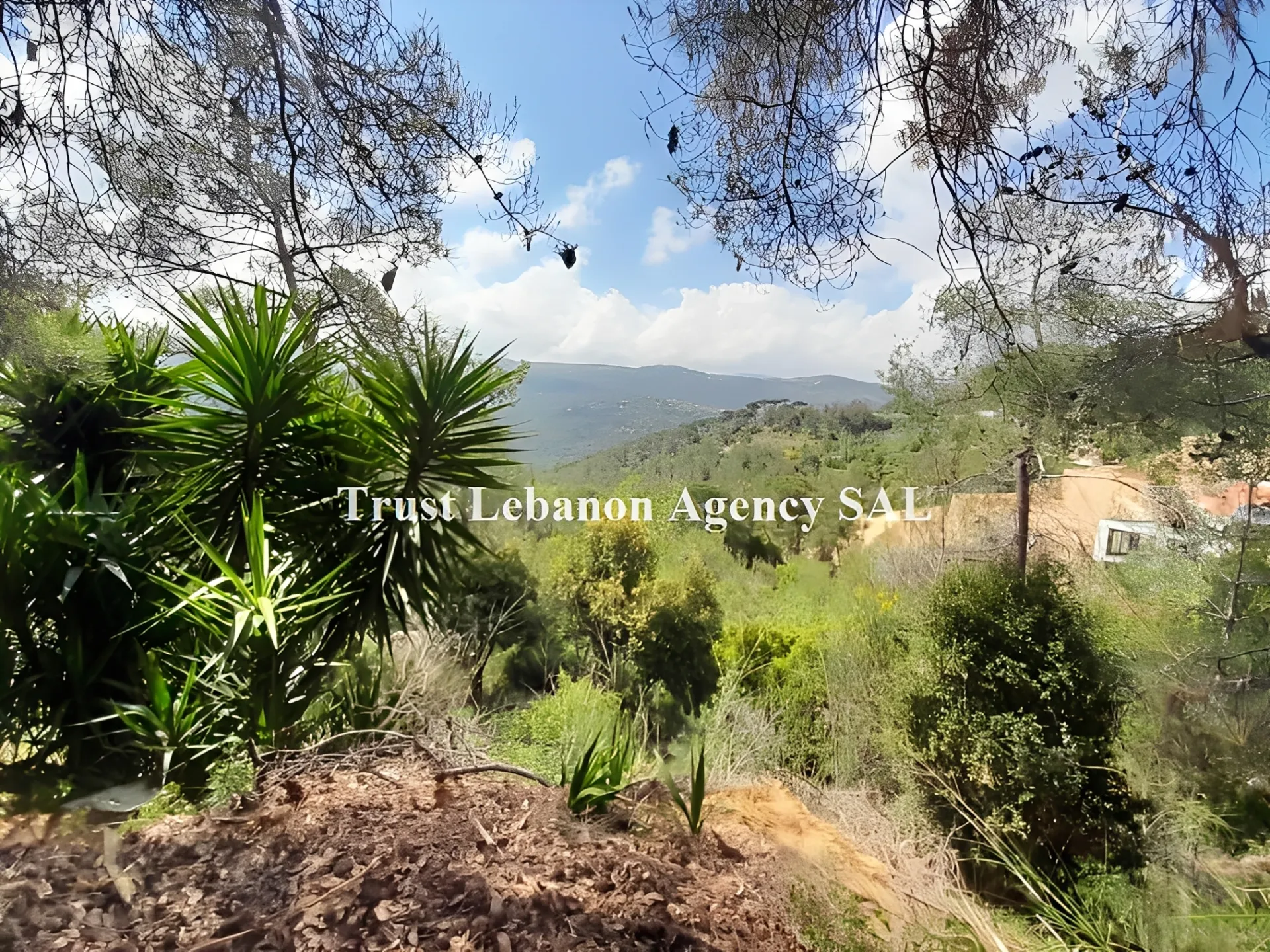Land for Sale in Metn Oyoun Lebanon