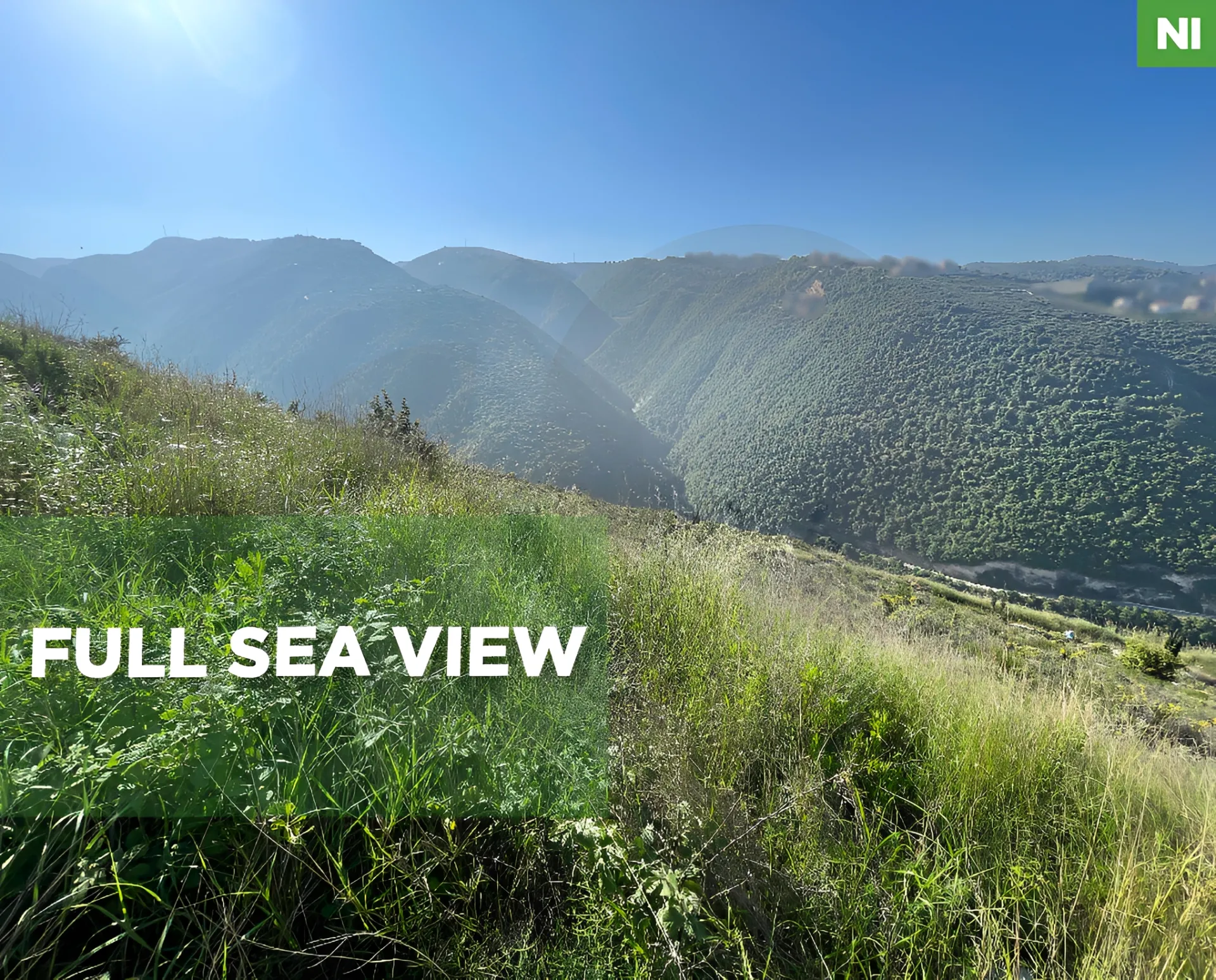 Land for Sale in Edde