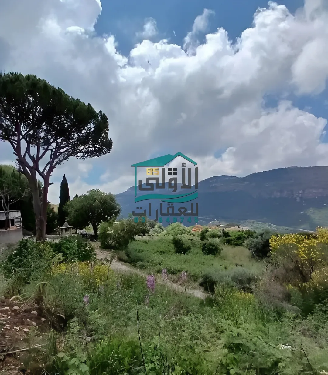 Land in الغابون، lebanon