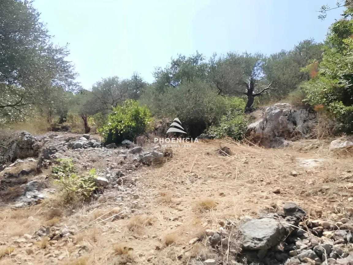 Land for Sale in Monsef