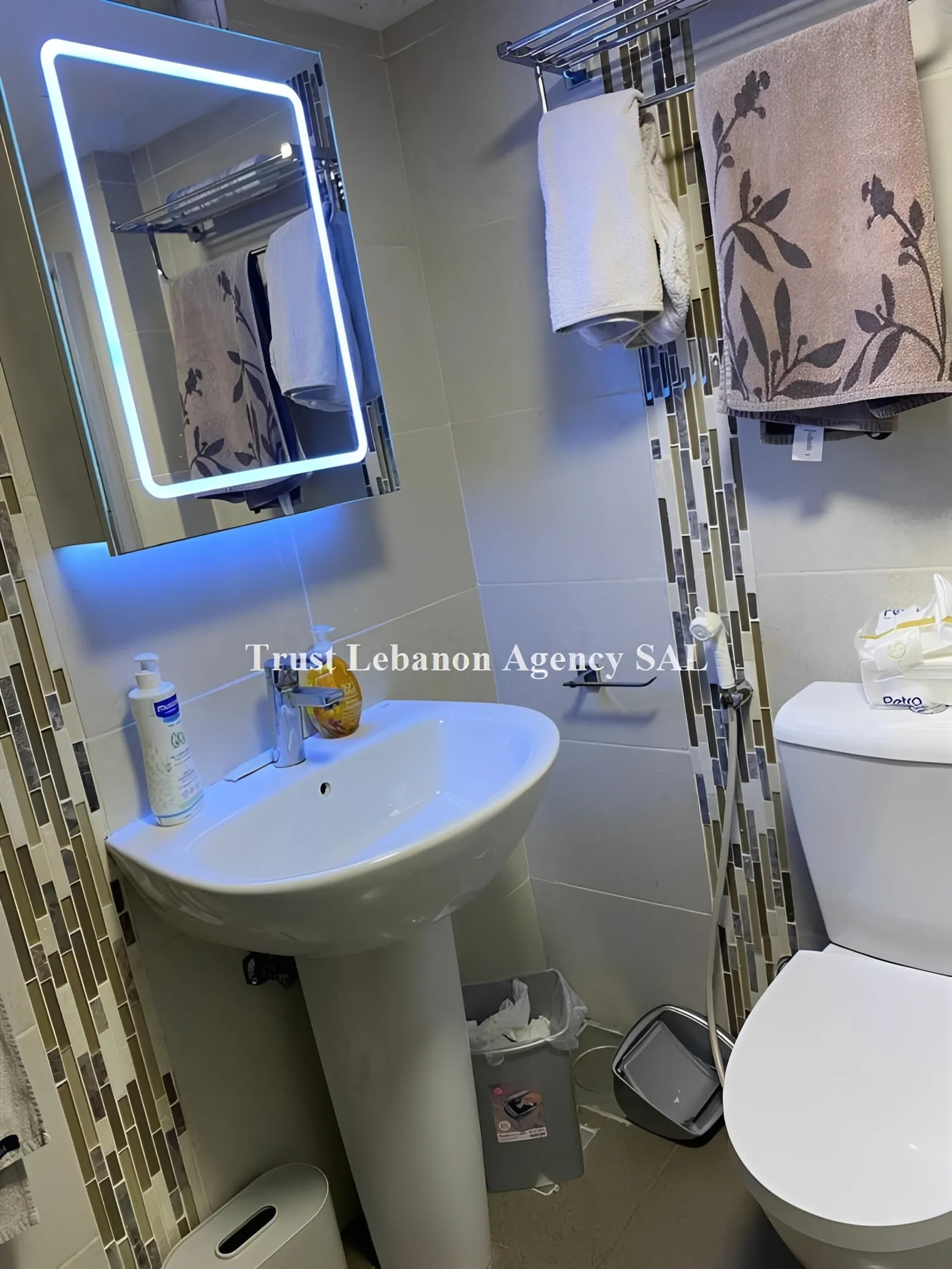 Duplex for Sale in Metn Bsalim Lebanon