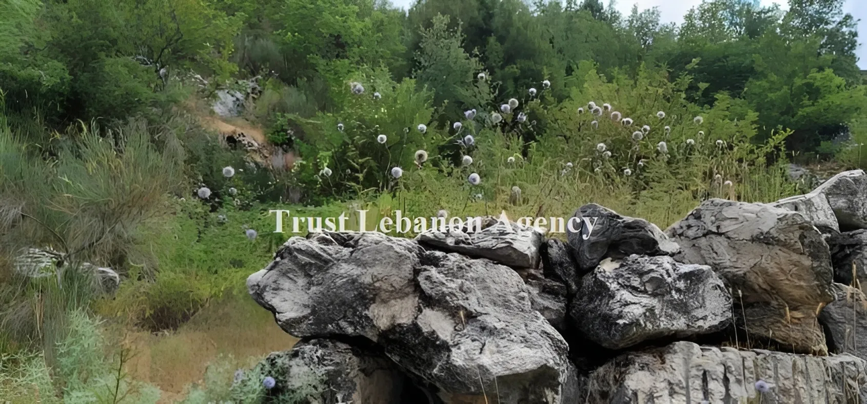 Land for Sale in Keserwan Amez