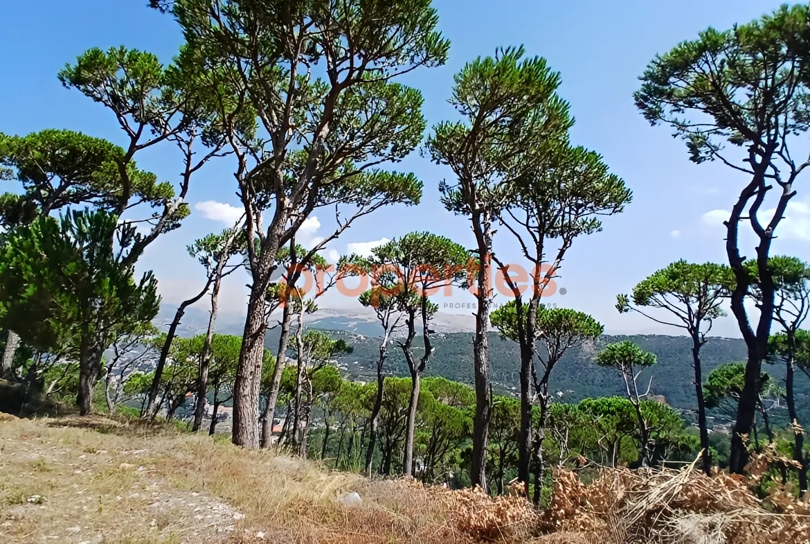 Residential Land for Sale in Dhour El Choueir
