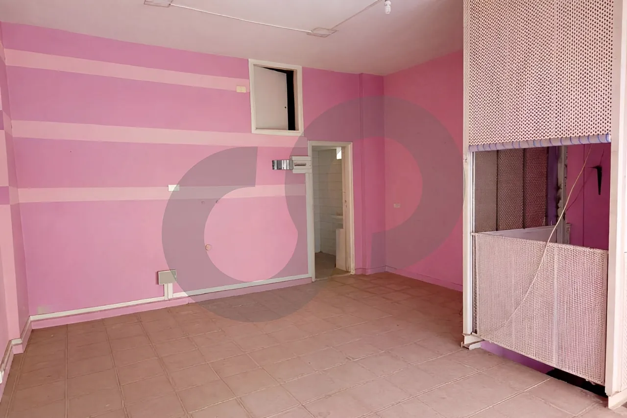 Commercial Property for Sale in Ain El Remmaneh