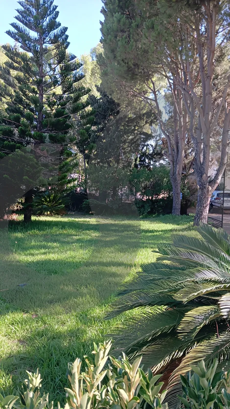 Villa for Sale in Deddeh