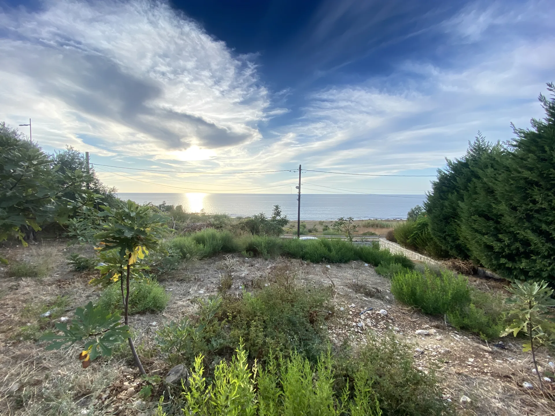 Land for Sale in Barbir