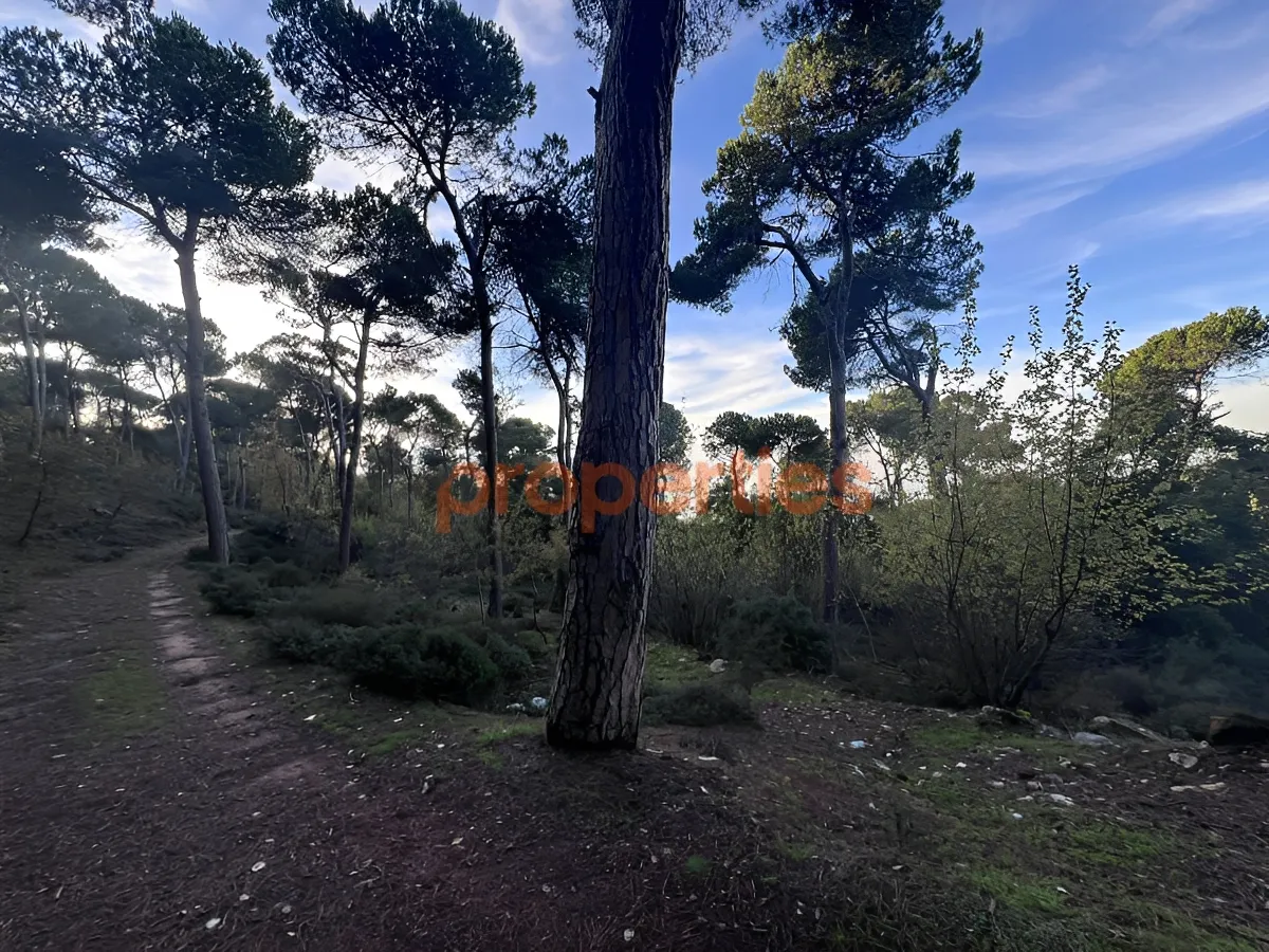Land for Sale in Bharsaf