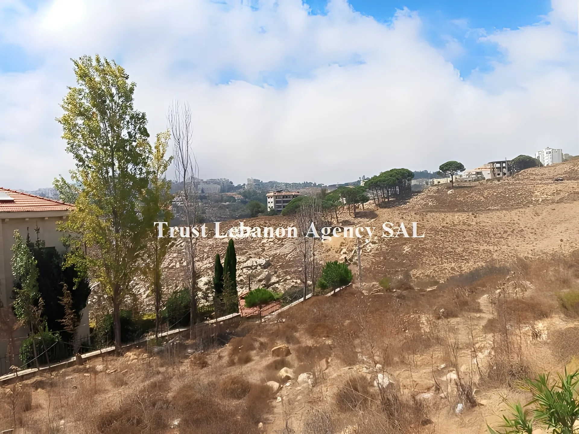 Land for Sale in Souq El Gharb