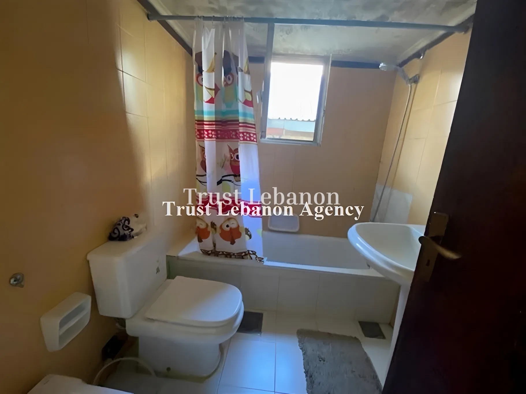 Apartment for rent in Broummana
