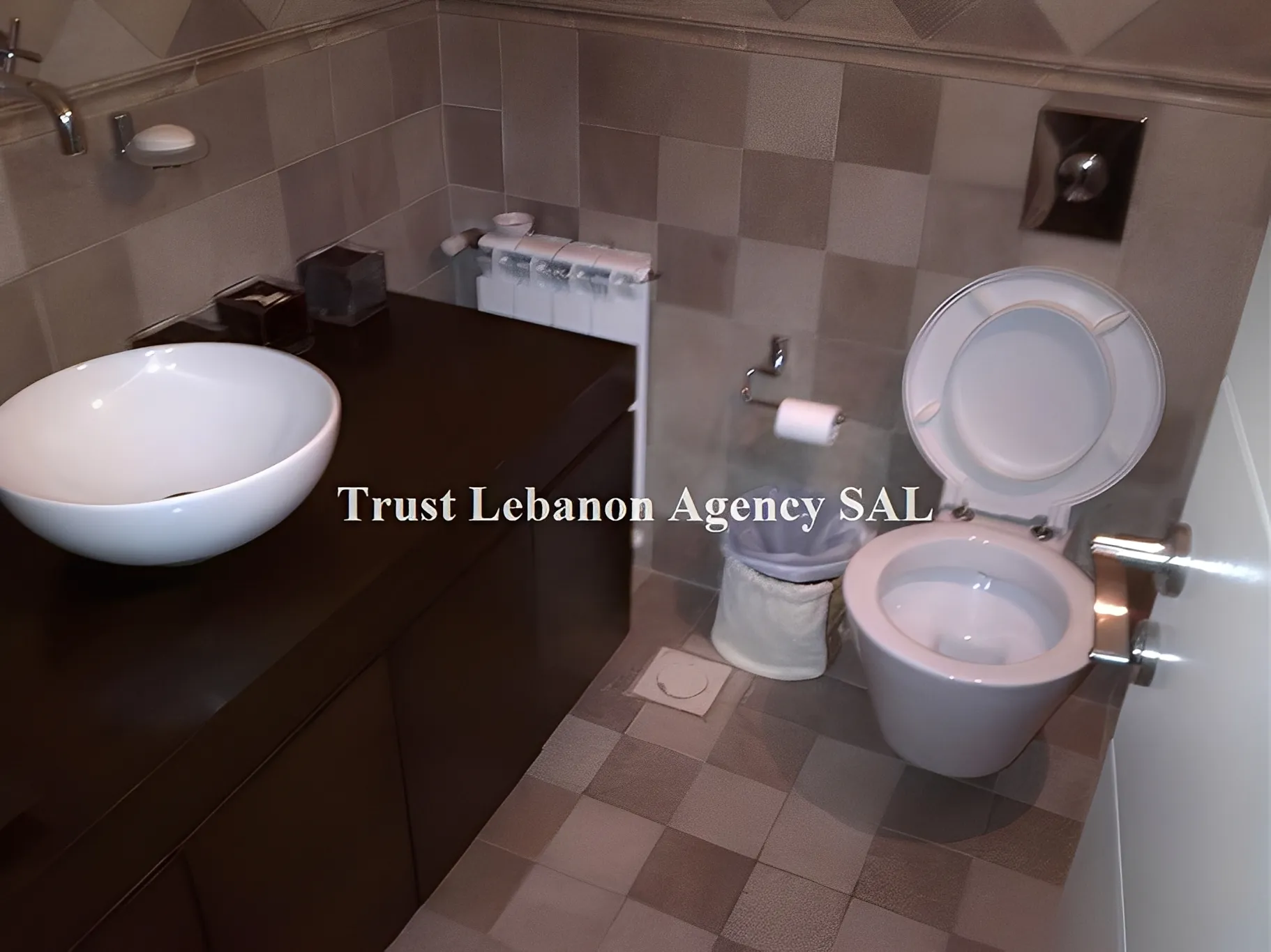 Villa for Sale in Metn Roumieh Lebanon