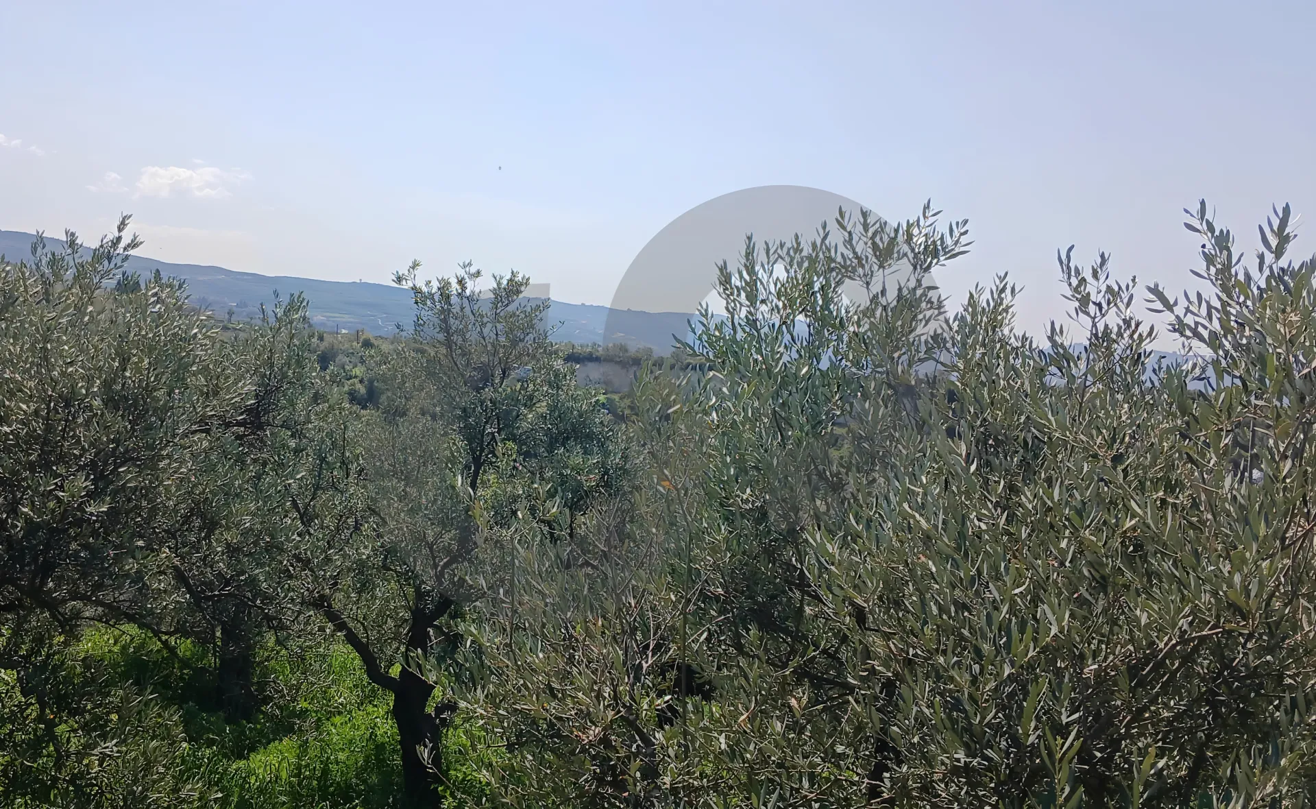 Land for Sale in Koura