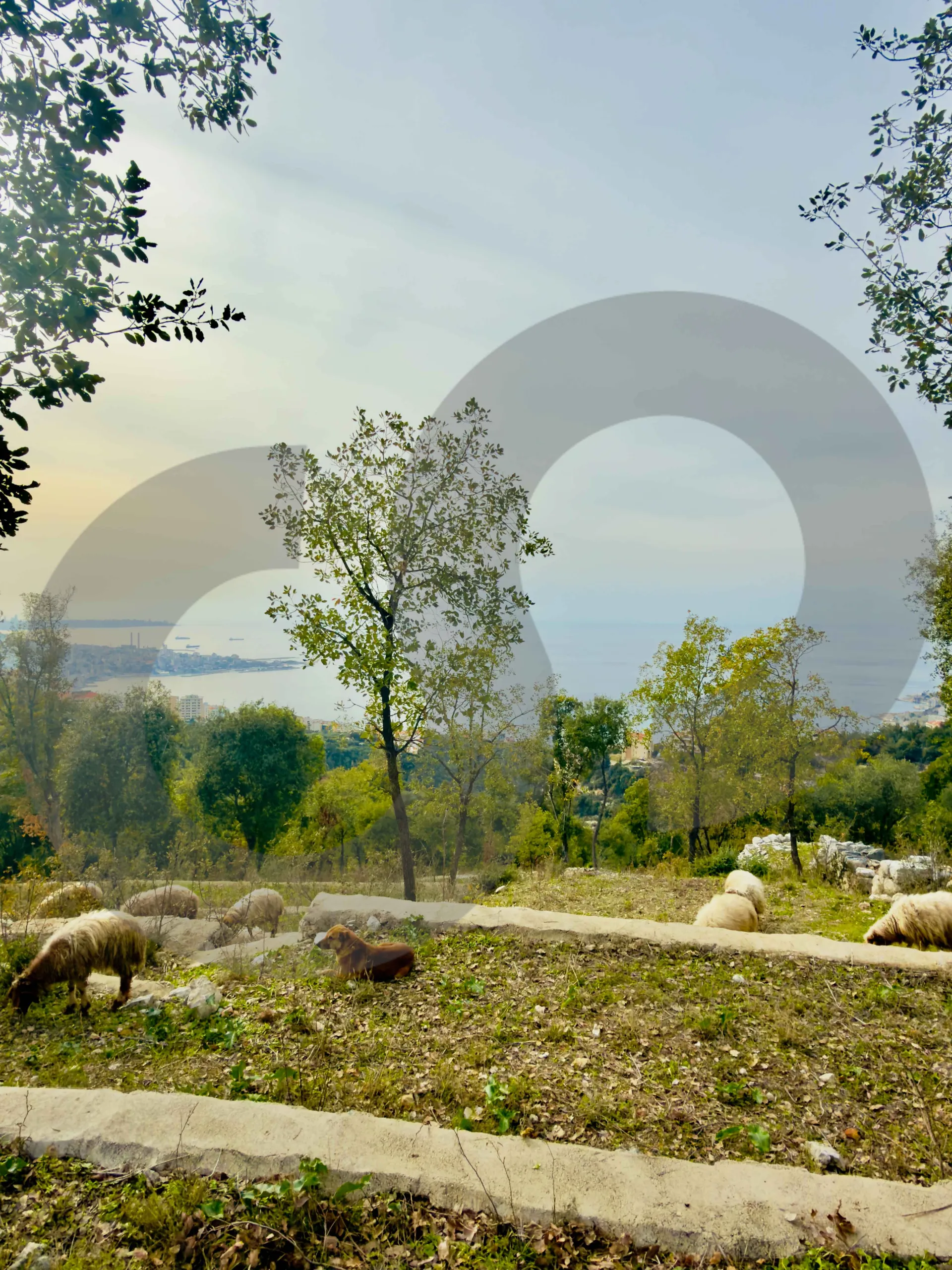 Land for Sale in Chnaneir