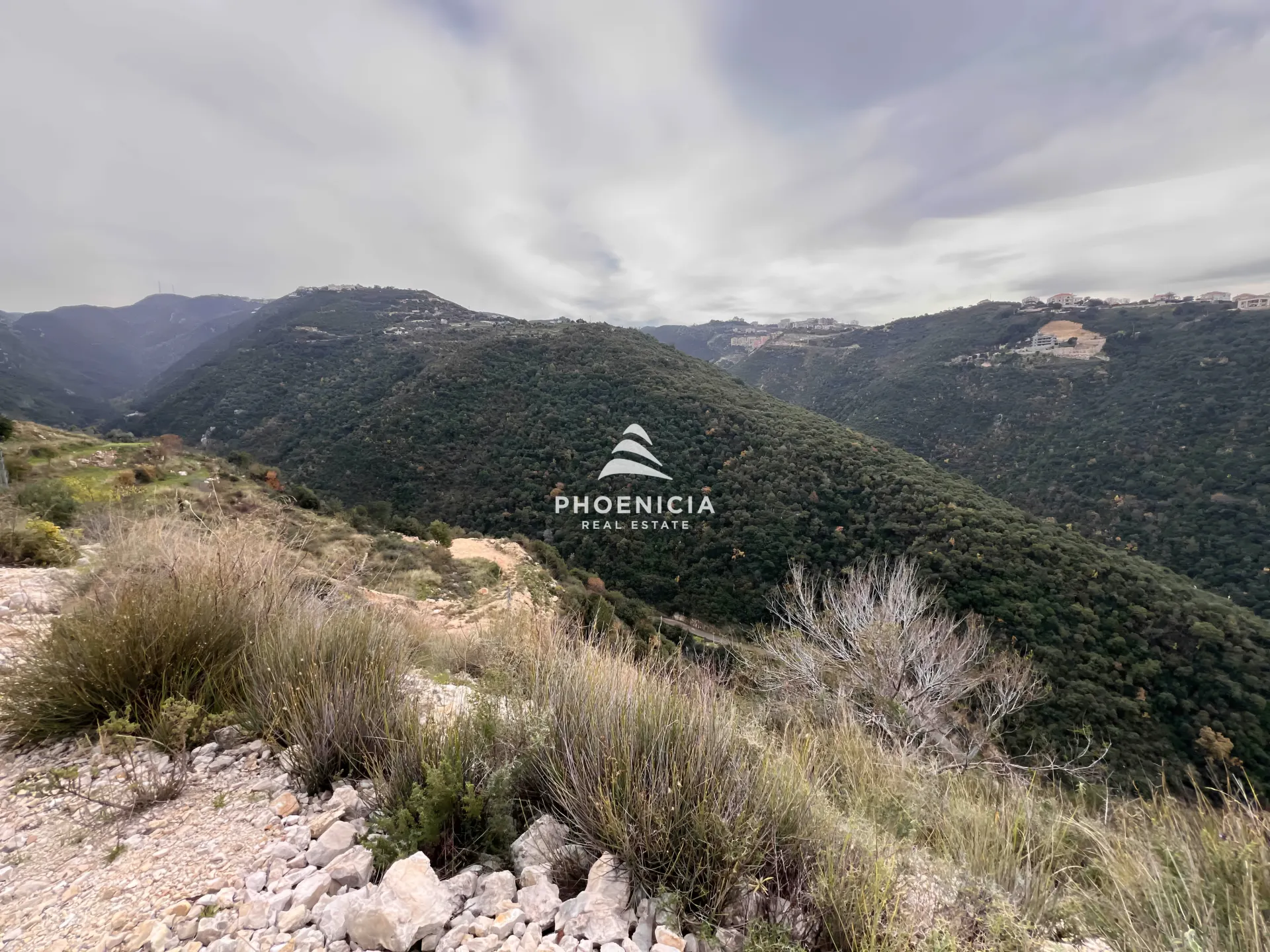 Land for Sale in Edde