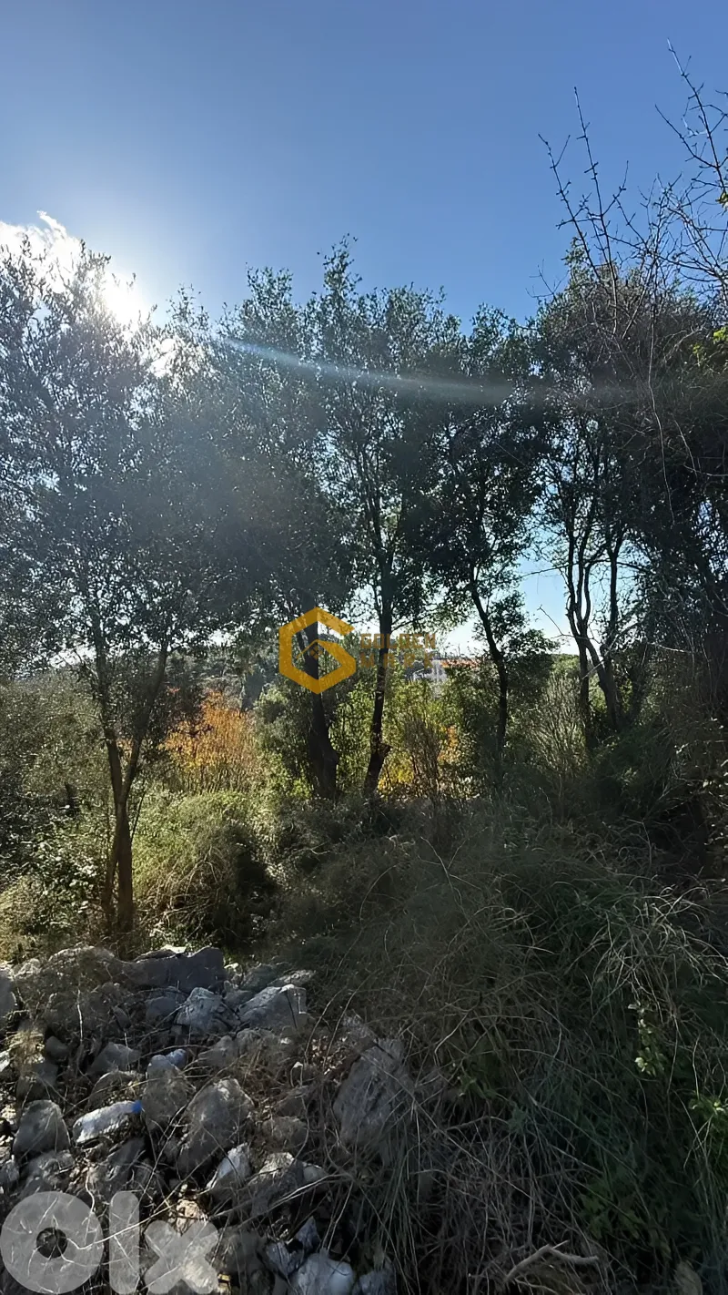 Land for Sale in Batroun