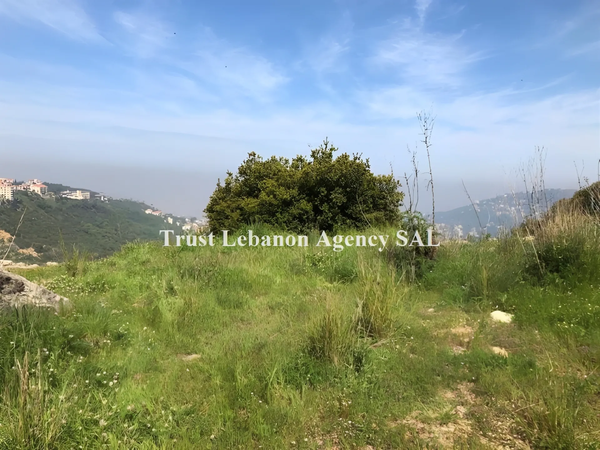 Land for Sale in Shweit Baabda