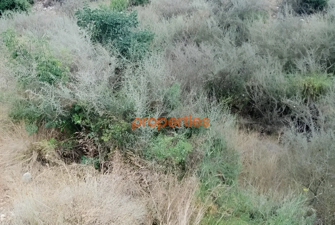 Land for Sale in Habboub