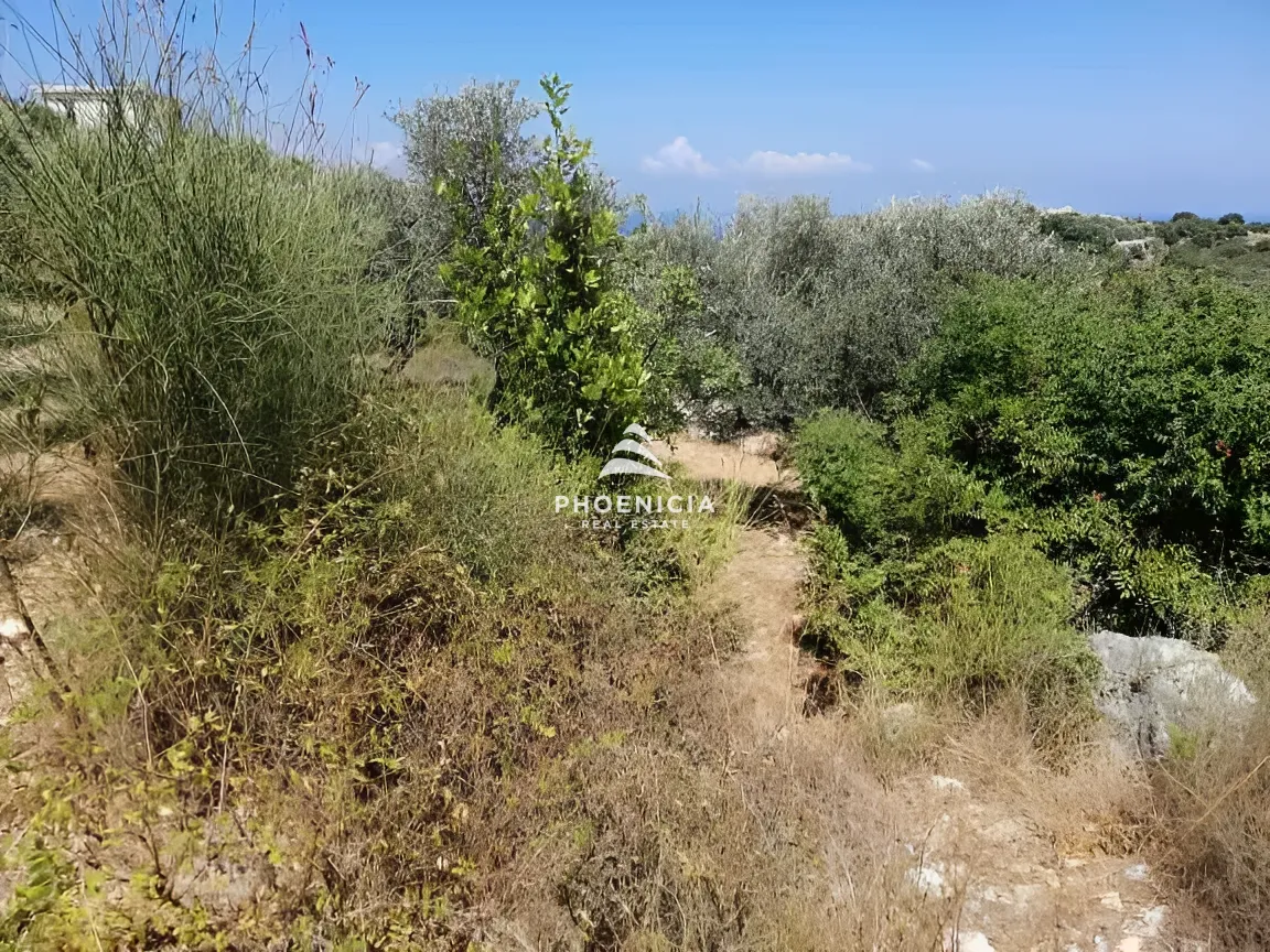 Land for Sale in Monsef