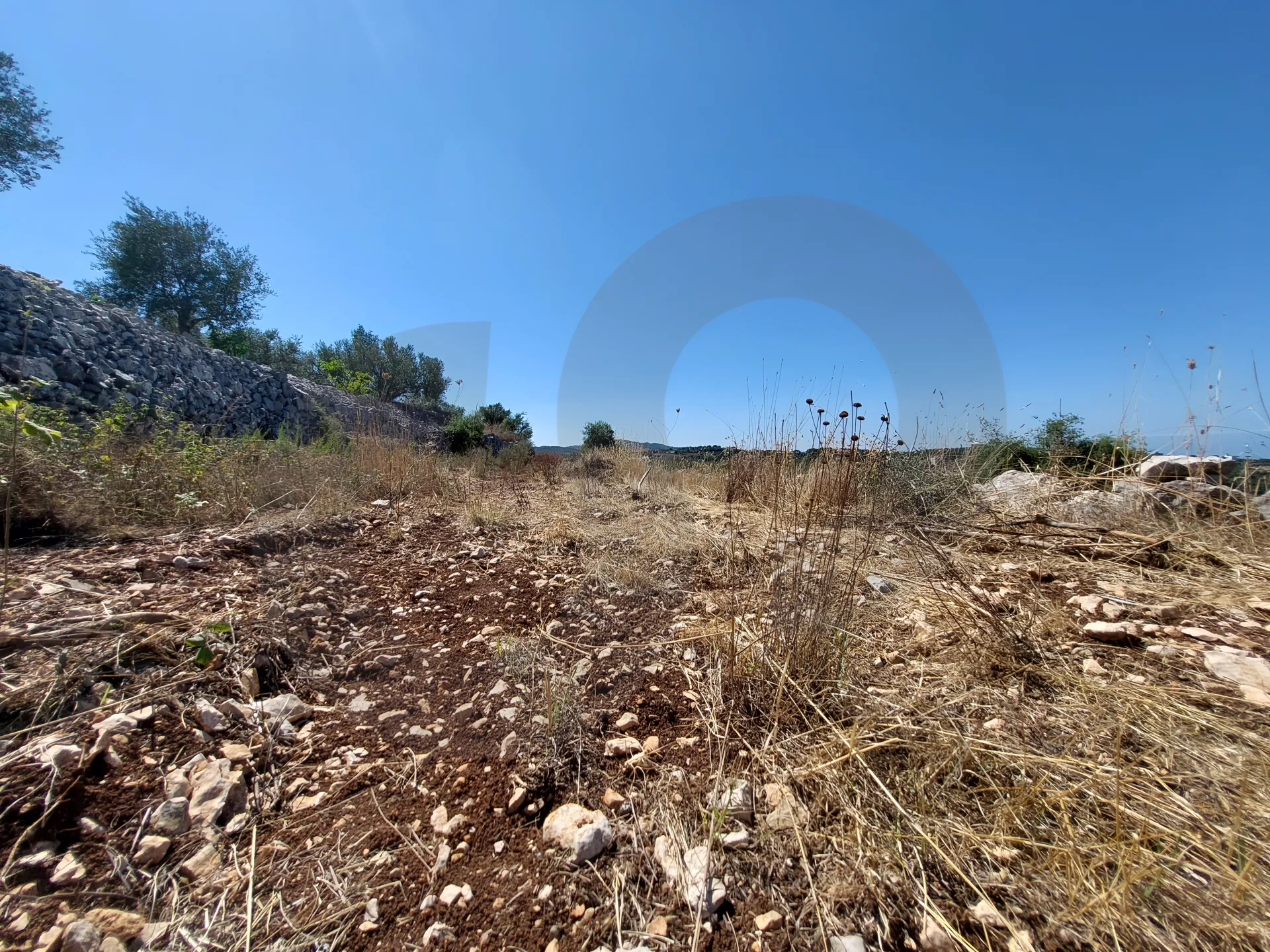 Land for Sale in Batroun