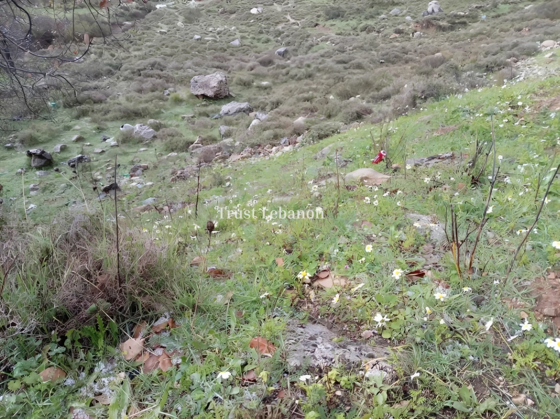 Residential Land for sale in Bharsaf, Lebanon