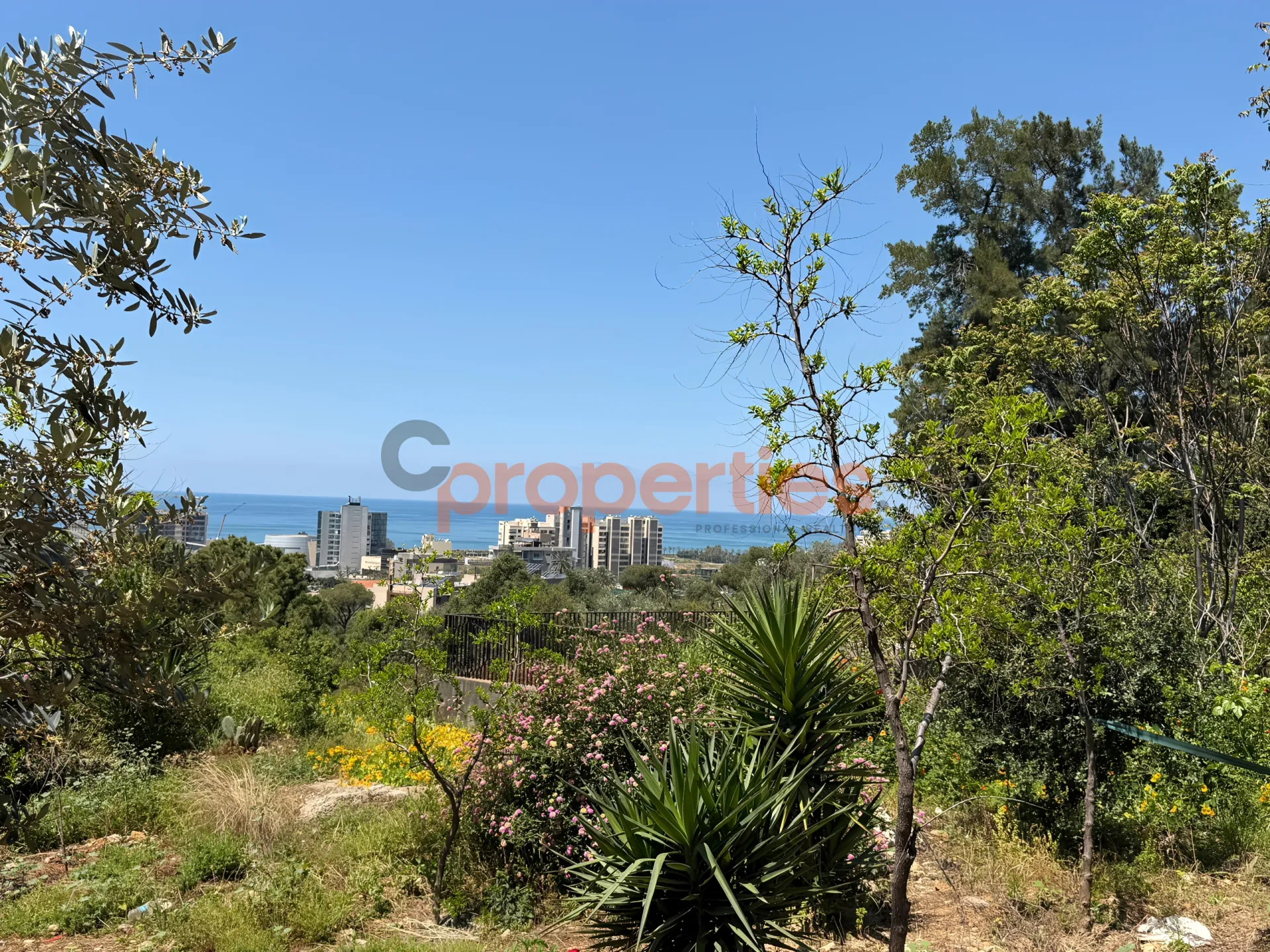 Residential Land for Sale in Naqqache
