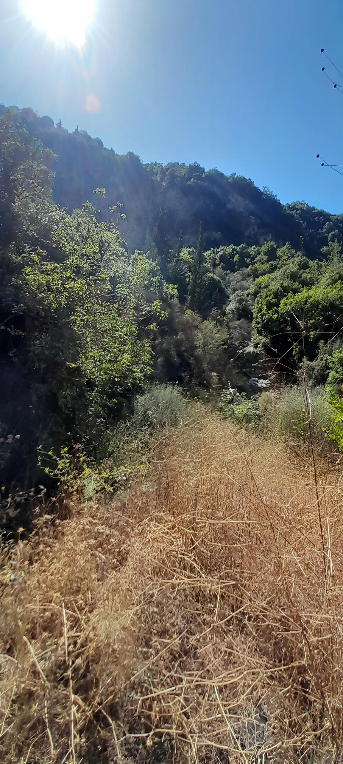 Land for sale in Yahchouch, lebanon