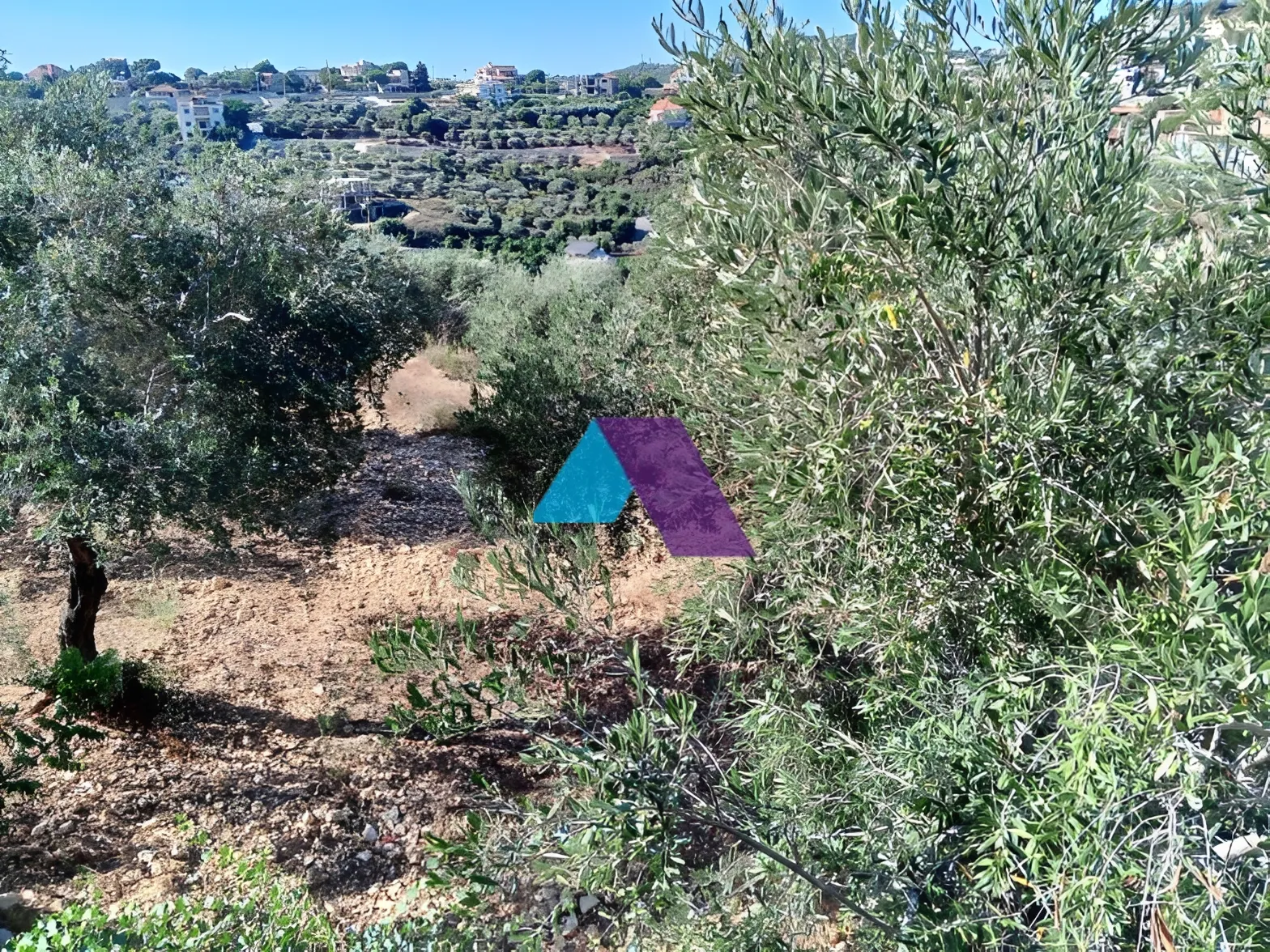 Land for Sale in Batroun