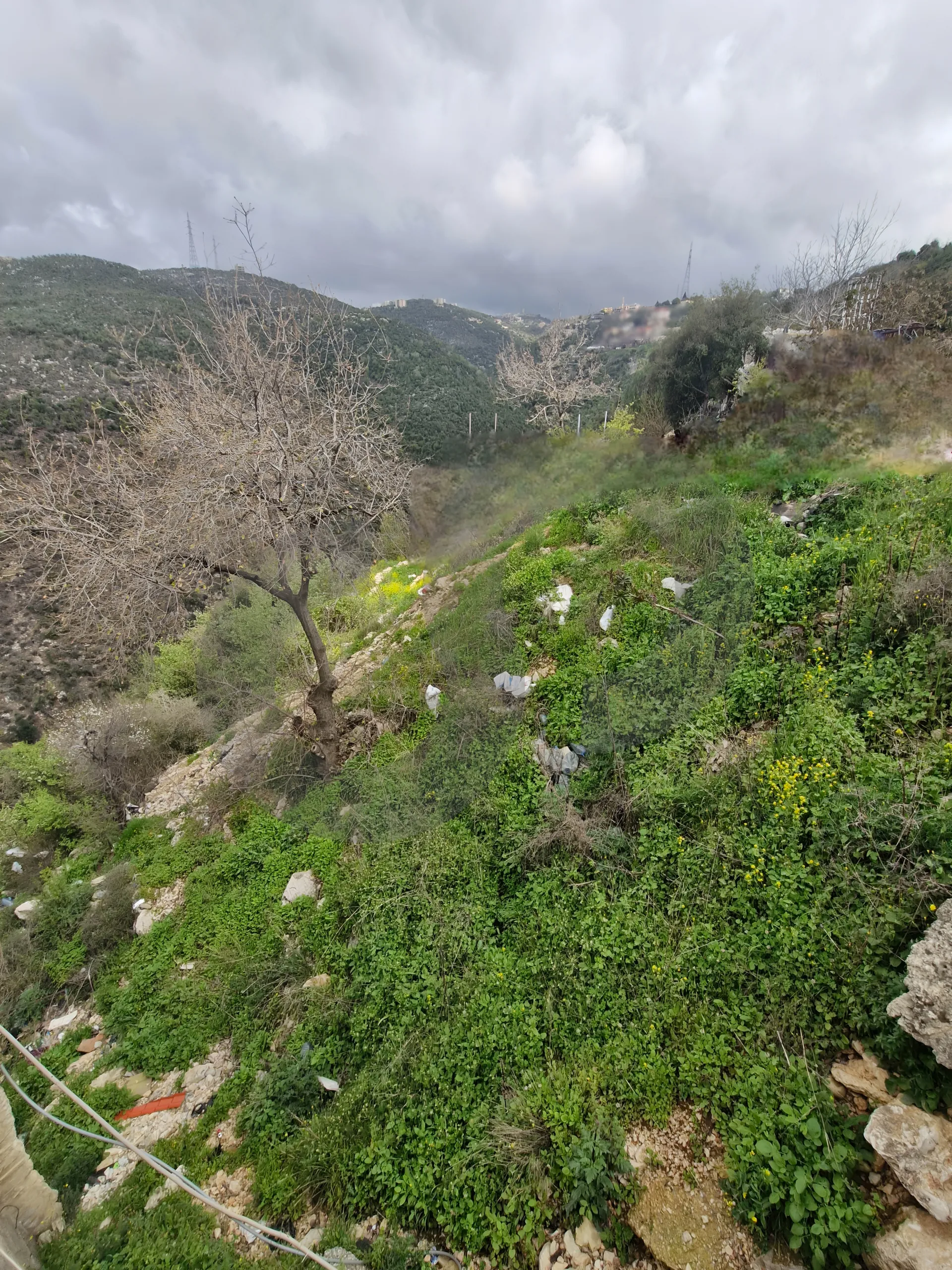 Land for Sale in Ras Osta