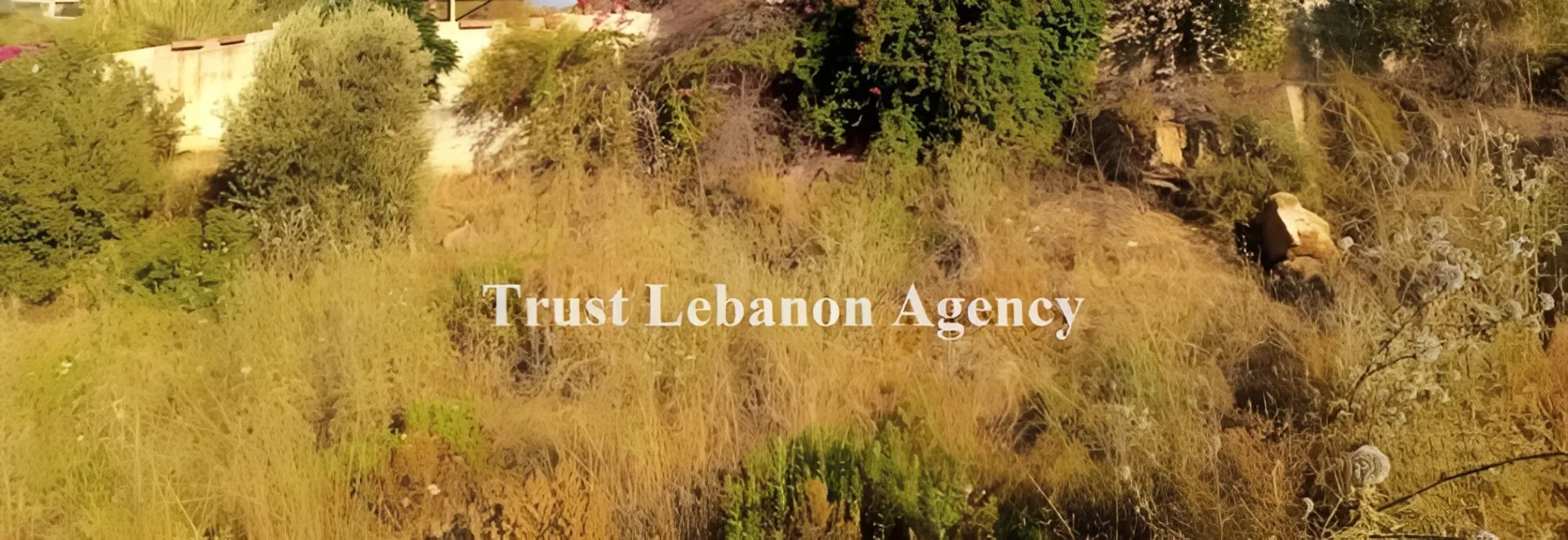 Land for Rent in Alay, Ain Ounoub