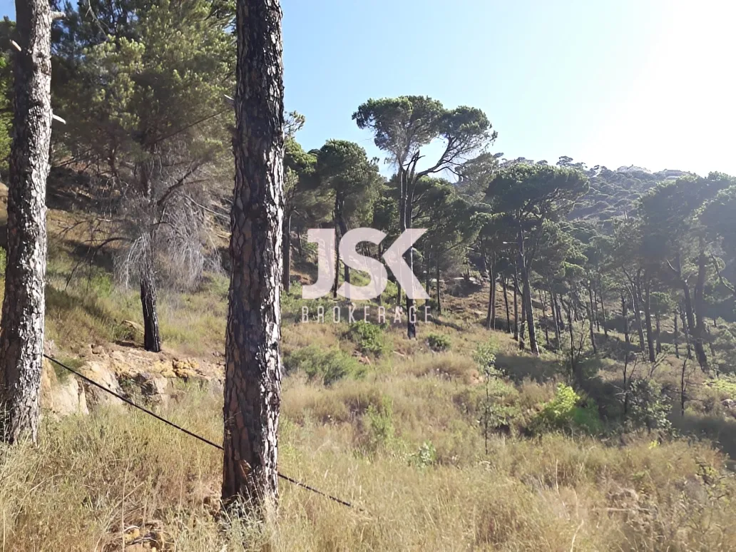 Land for Sale in Choueir, Lebanon