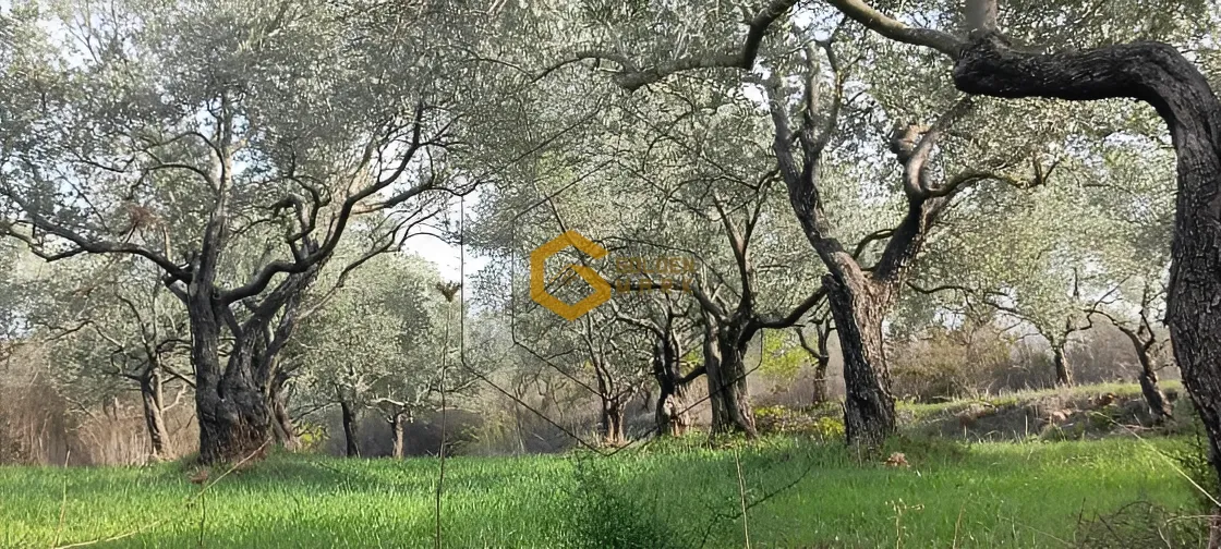 Land for Sale in Kaferkahel