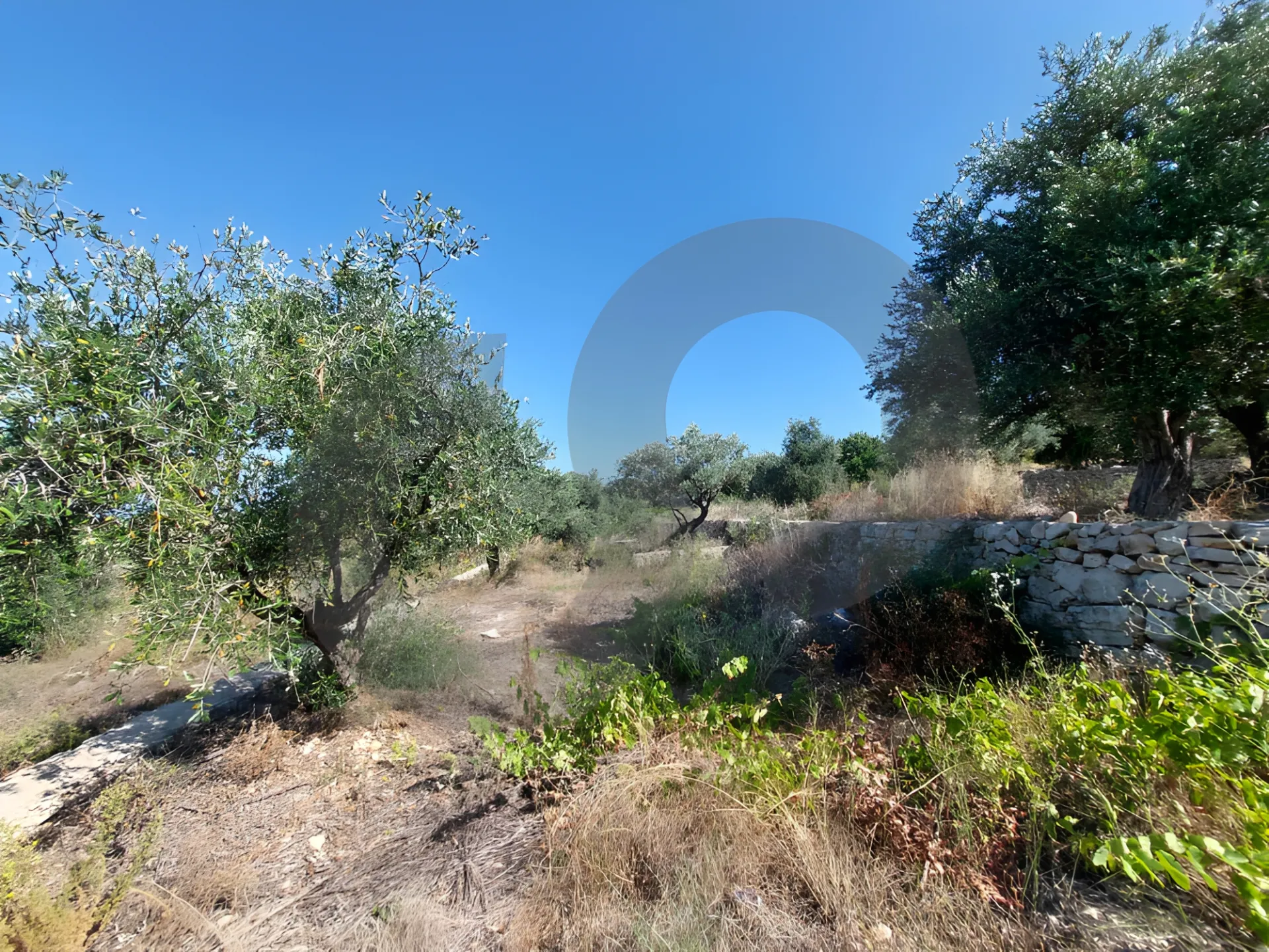 Land for Sale in Byblos