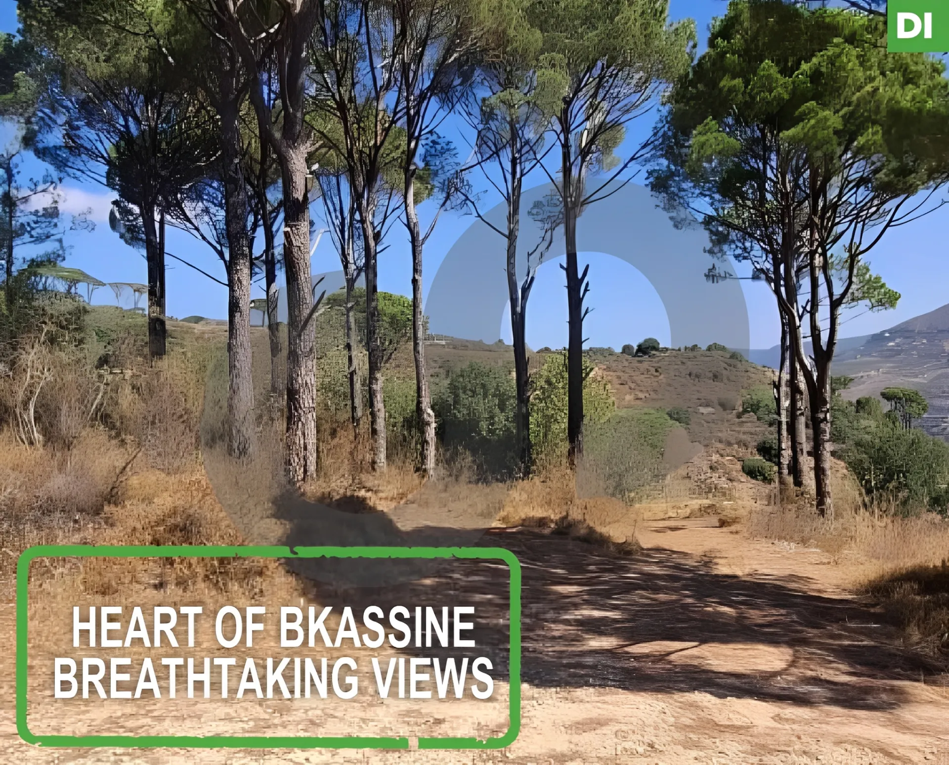 Land for Sale in Bkassine, Lebanon
