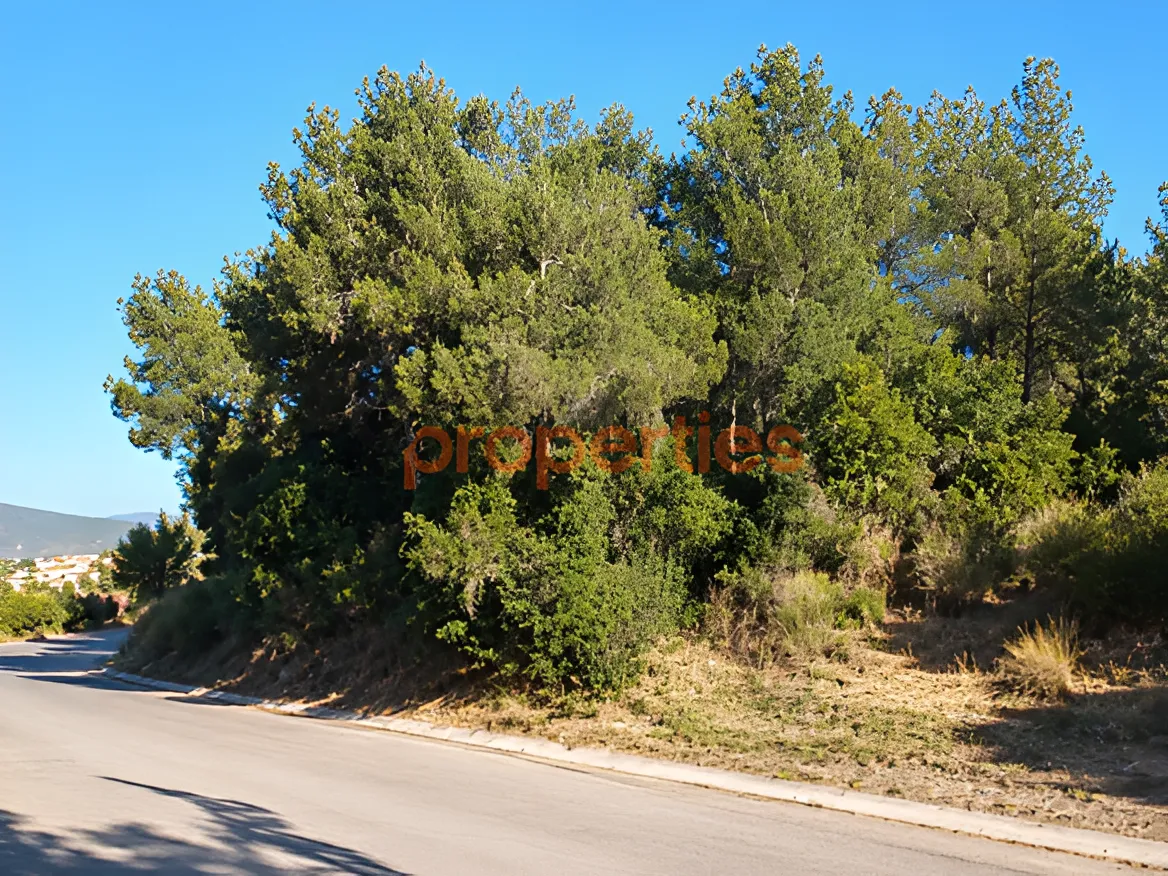 Residential Land for Sale in Baabdat