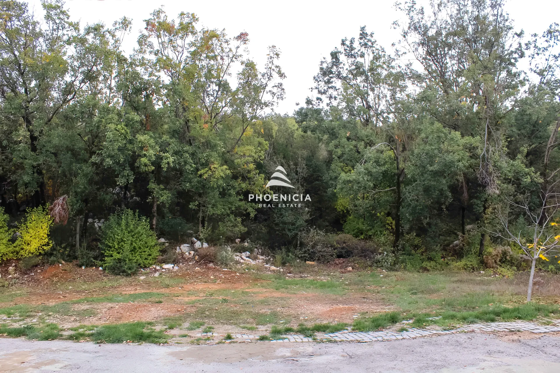 Land for Sale in Kfar Baal