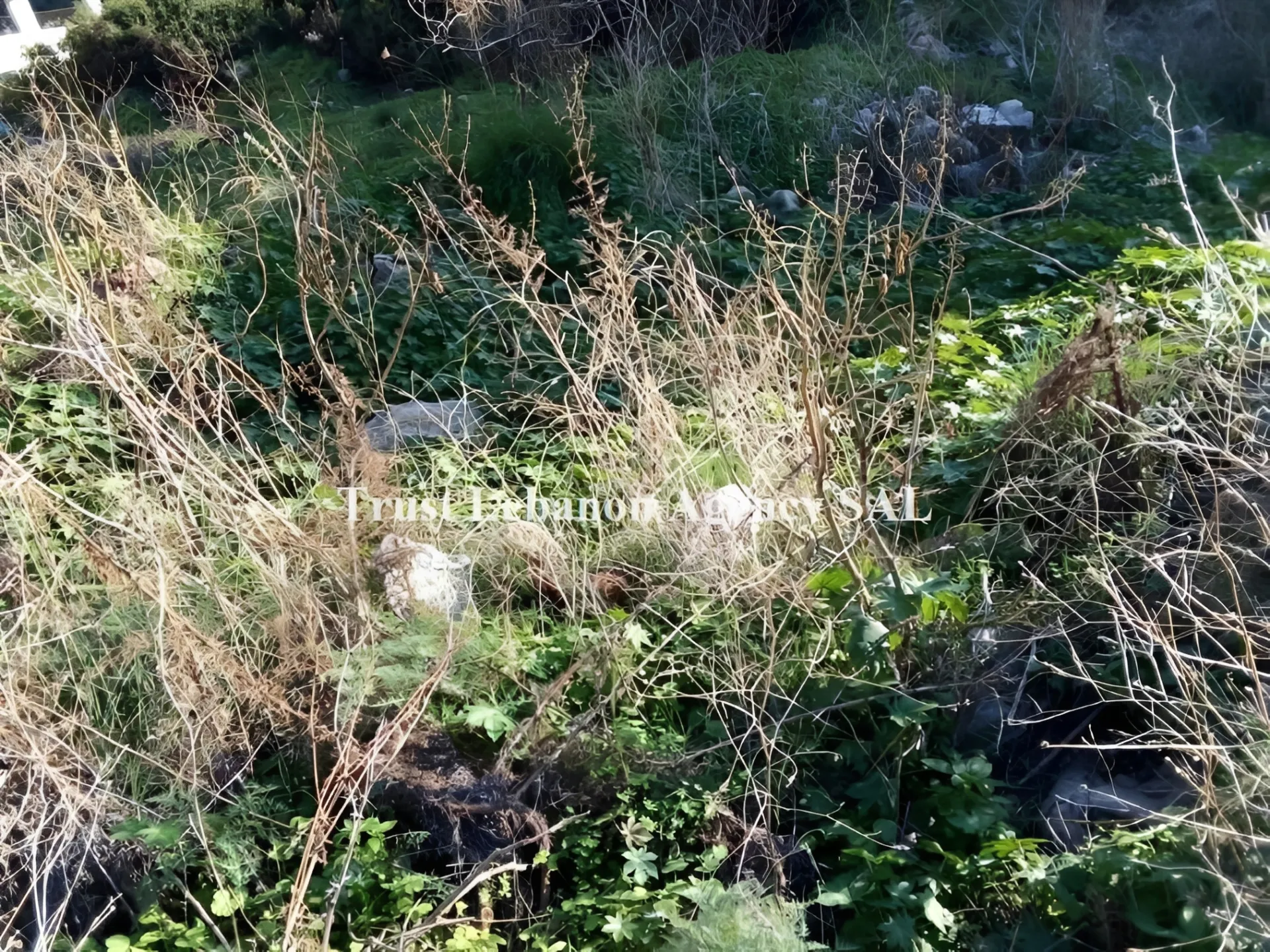 Land for Sale in Alay, khaldeh