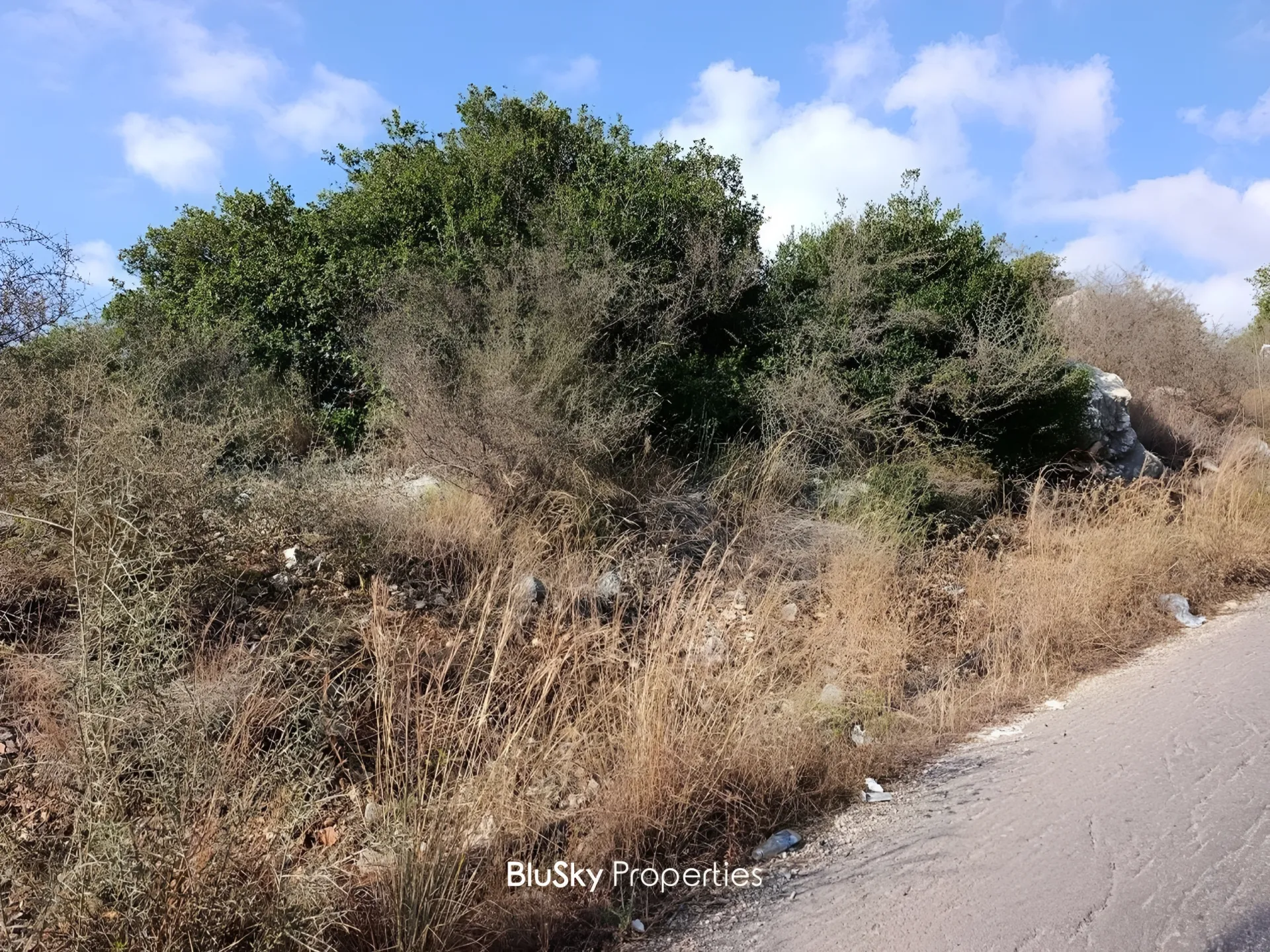 Land for sale in Edde, lebanon