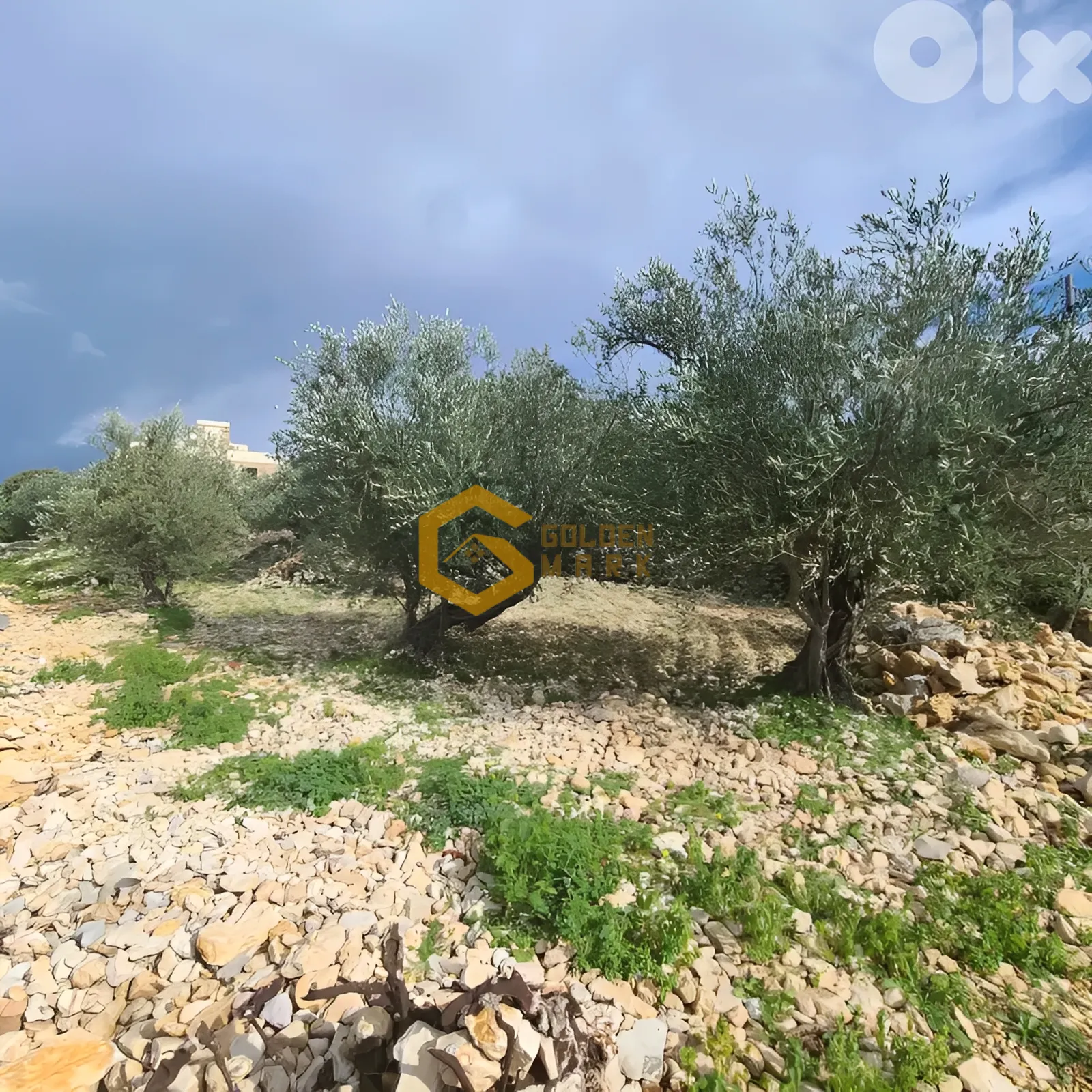 Land for Sale in Byblos