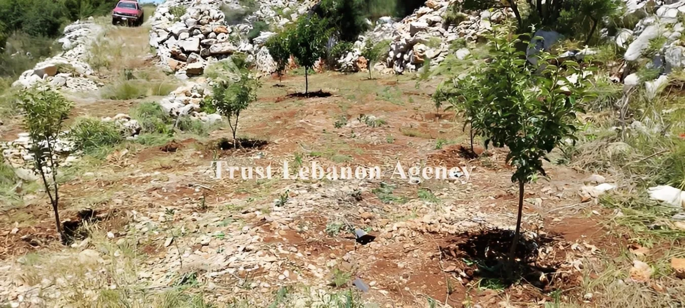 Land for Sale in Nabatiye Lebanon